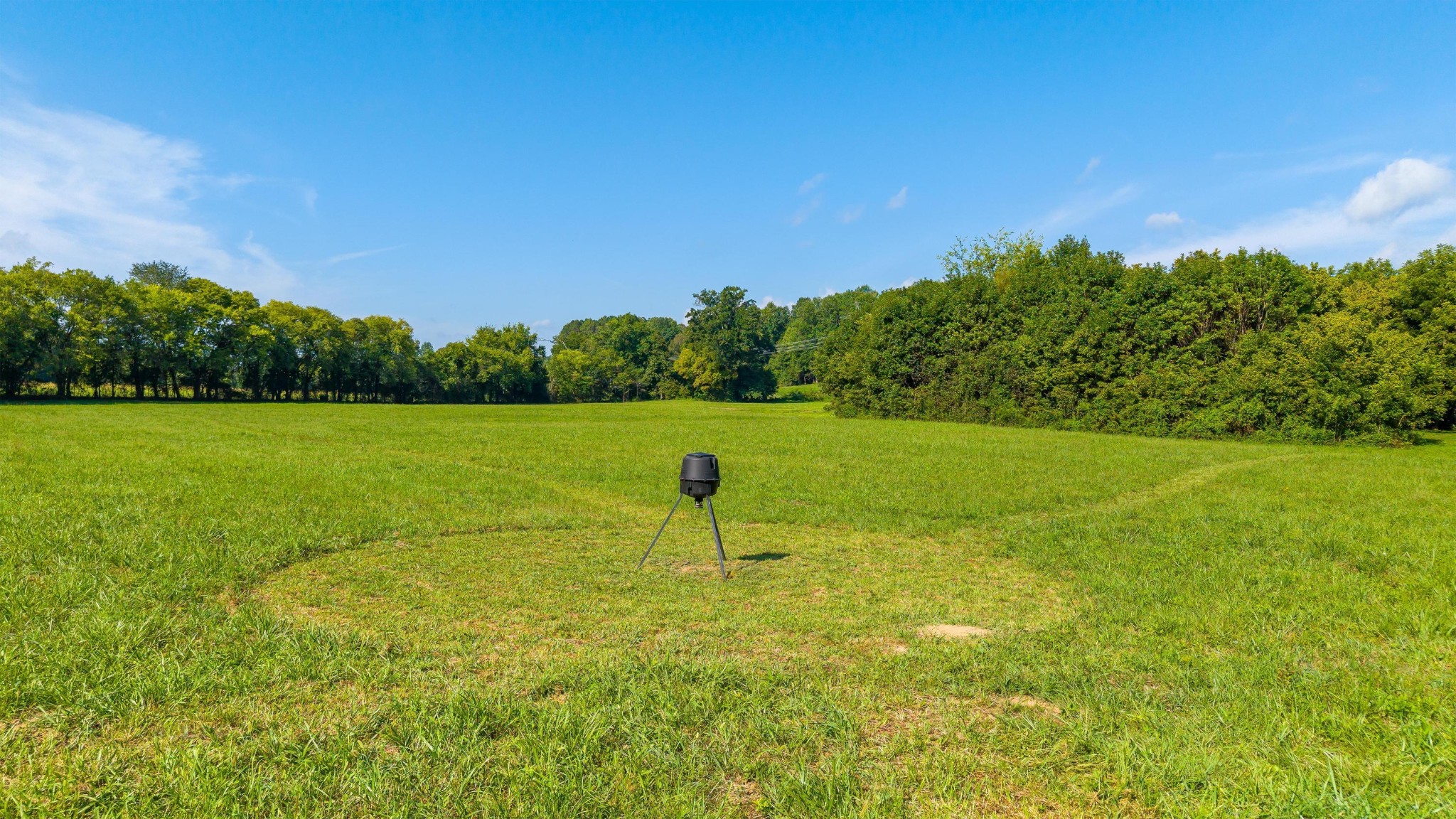 259 County Road 60