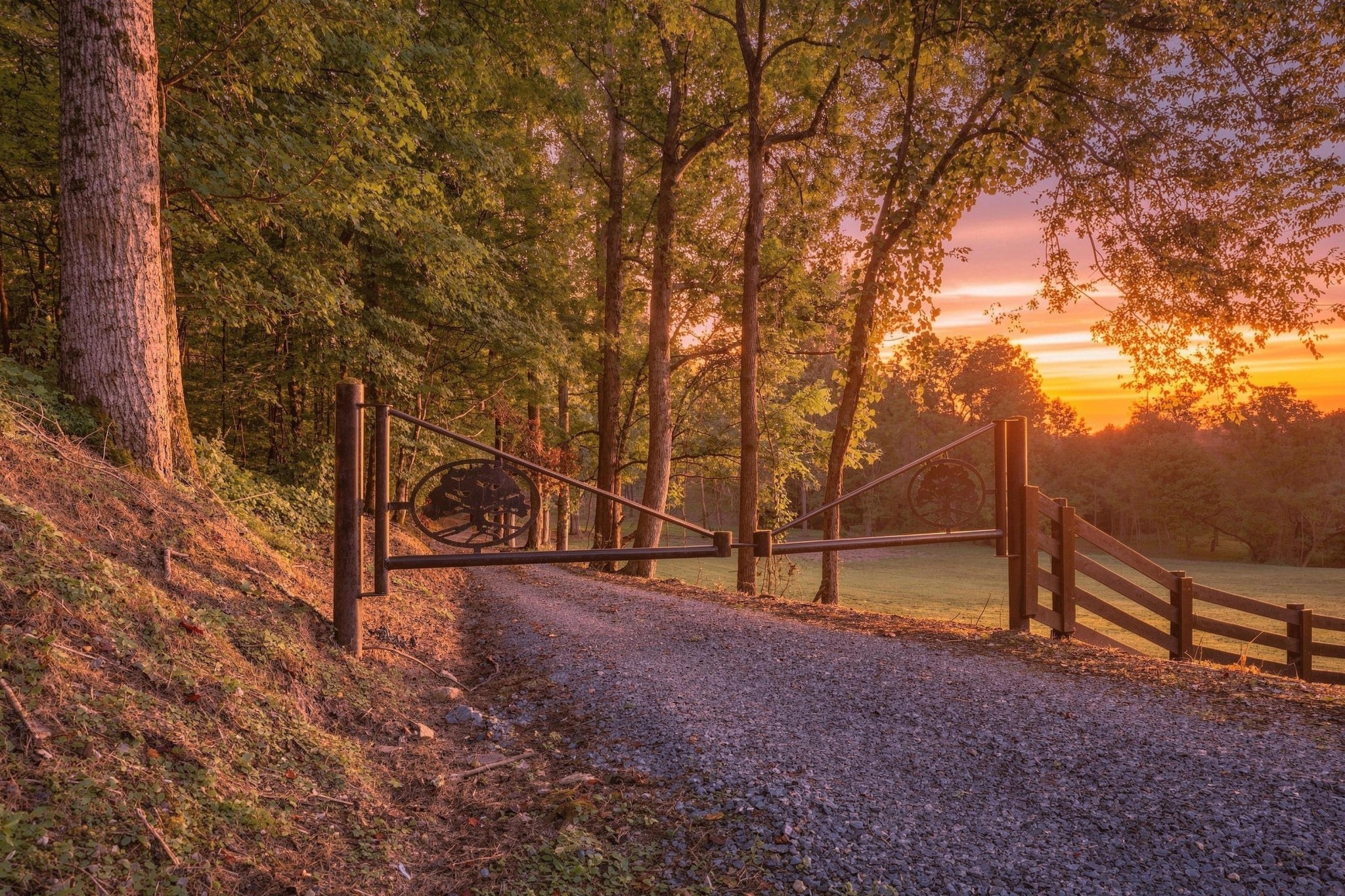 259 County Road 60