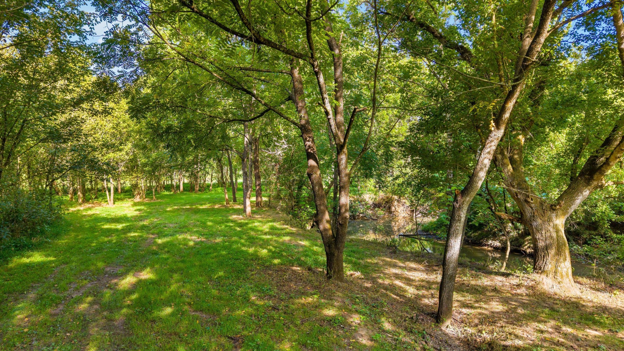 259 County Road 60