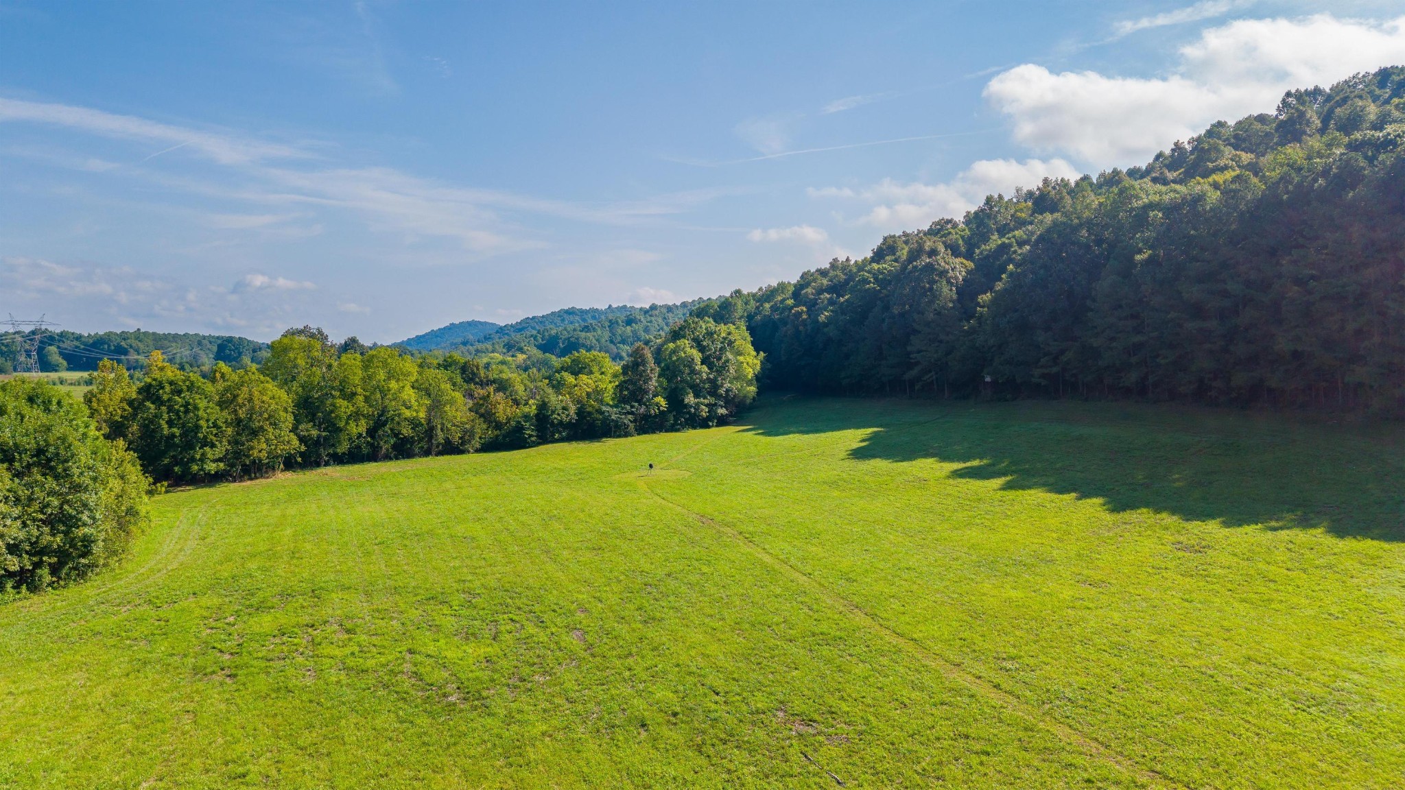 259 County Road 60
