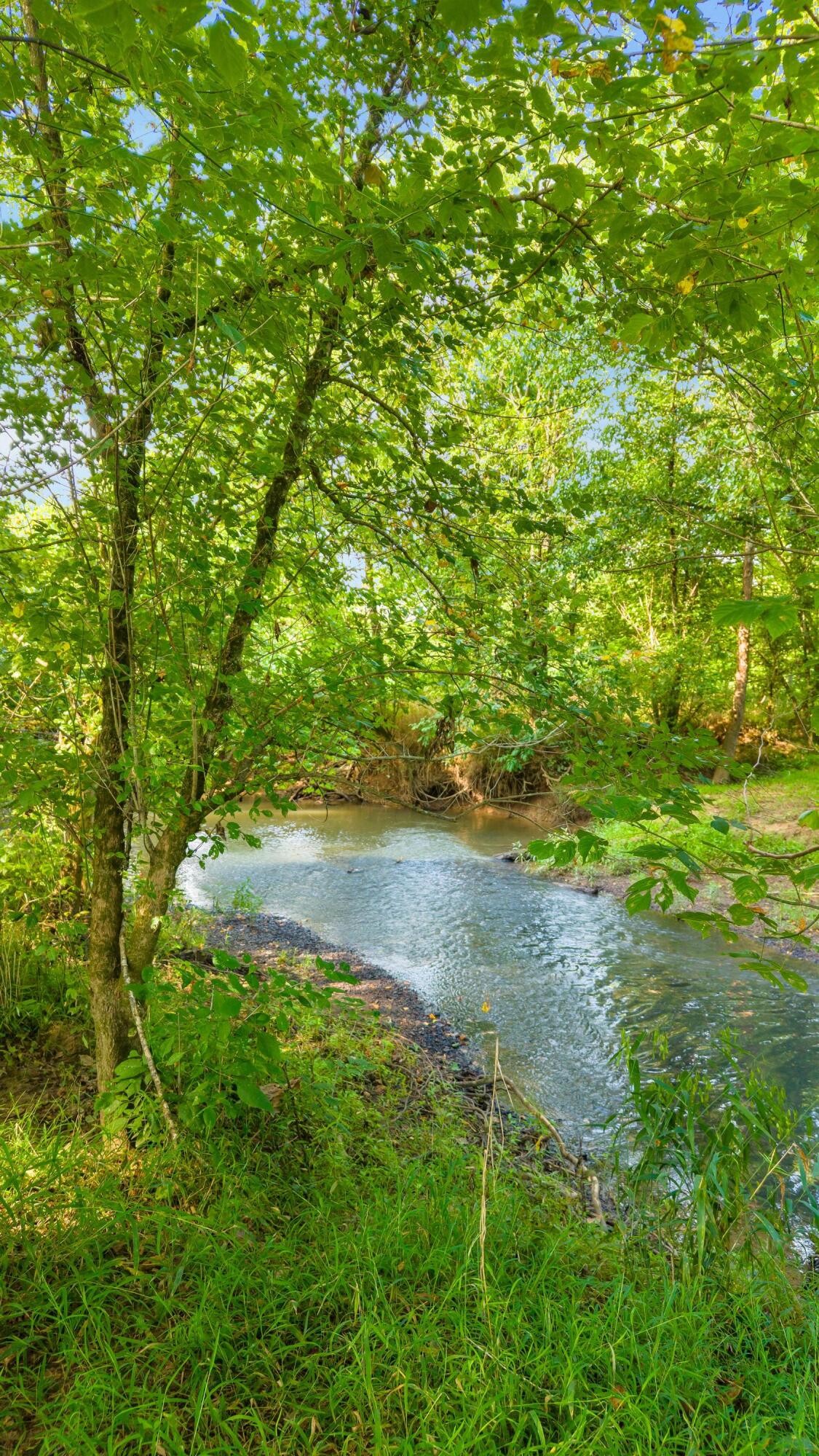 259 County Road 60