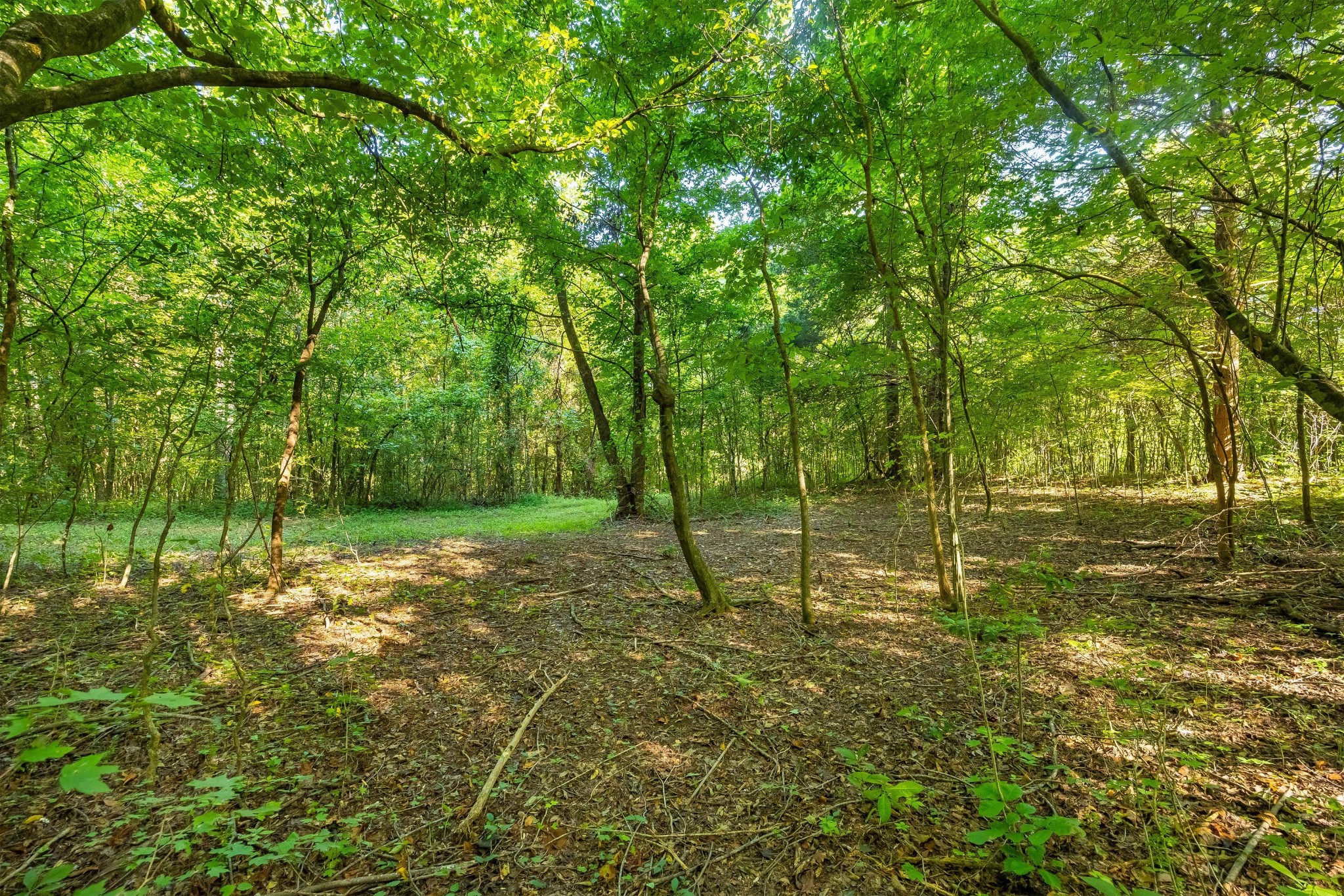 259 County Road 60