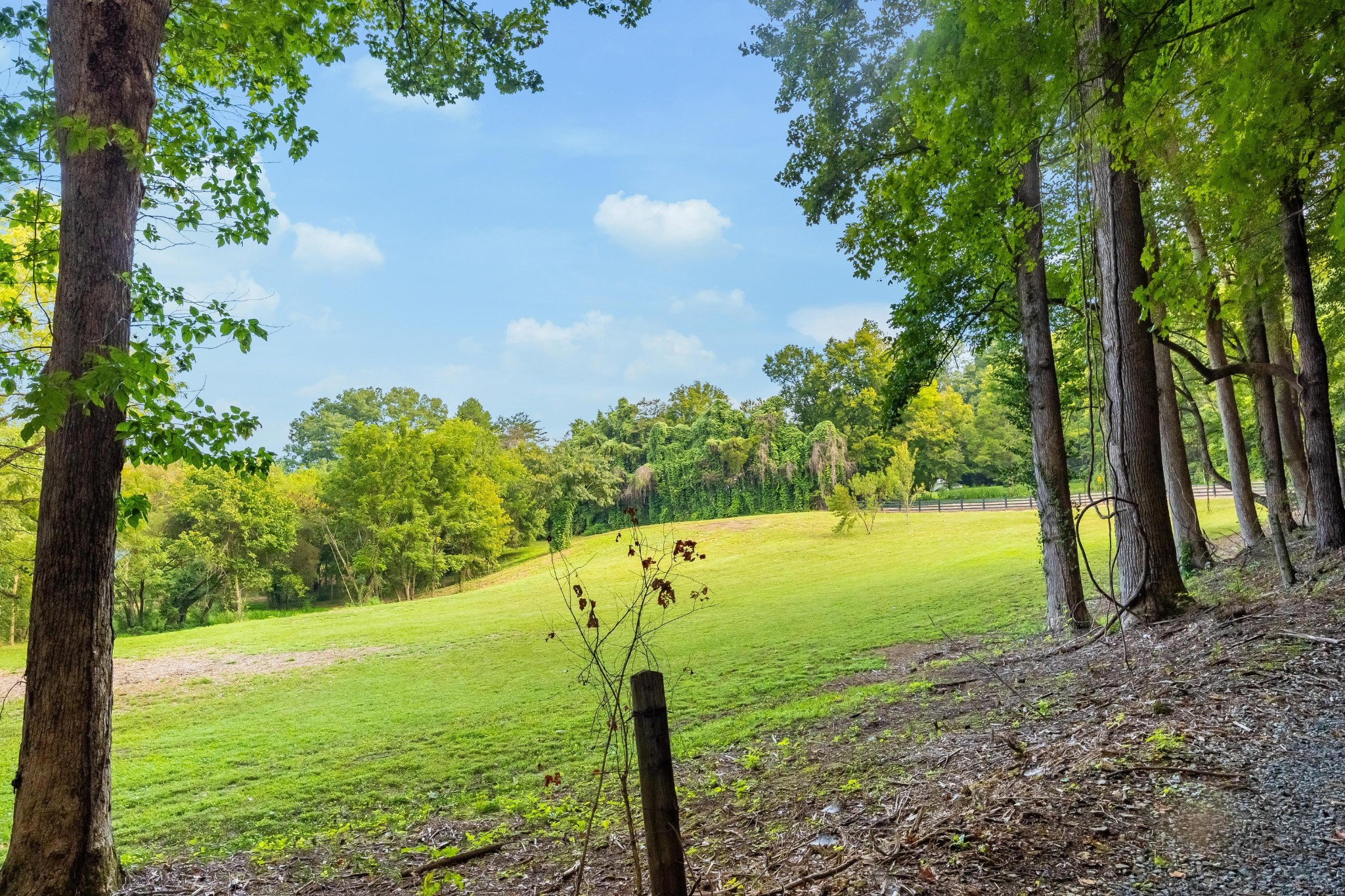 259 County Road 60