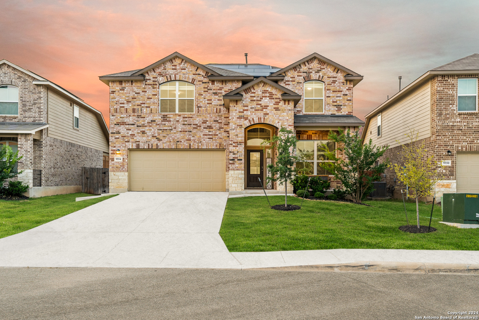 9554 BICKNELL SEDGE