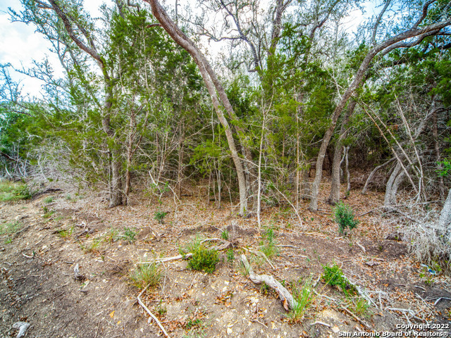 708 Sharp Springs