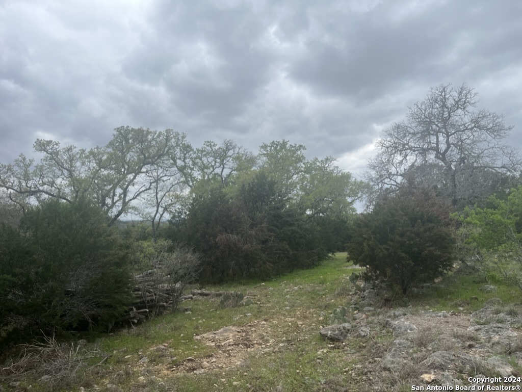 192 MACAW LN