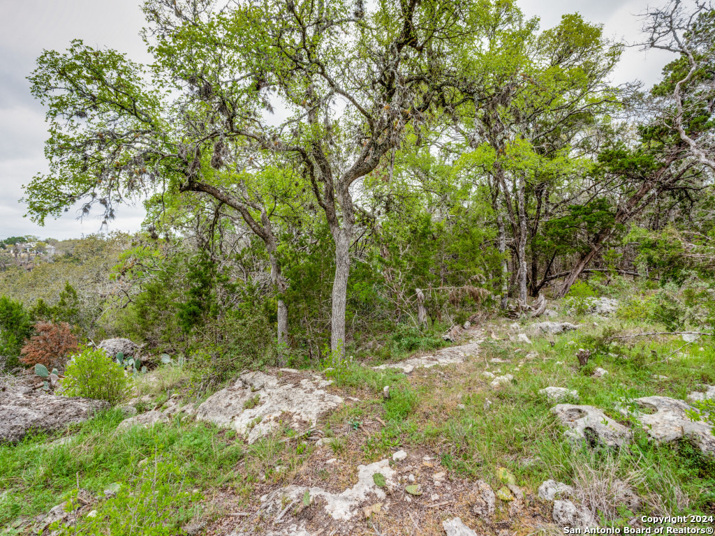 192 MACAW LN