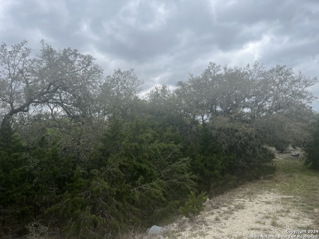 192 MACAW LN
