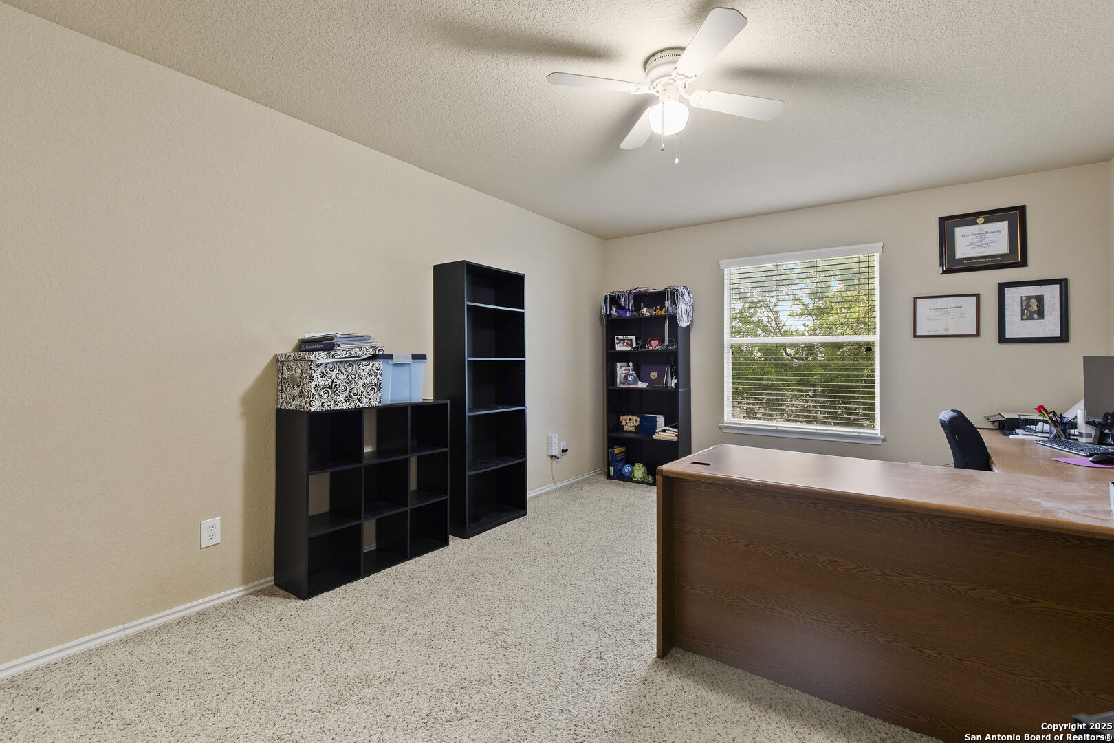 738 Daisy Crossing