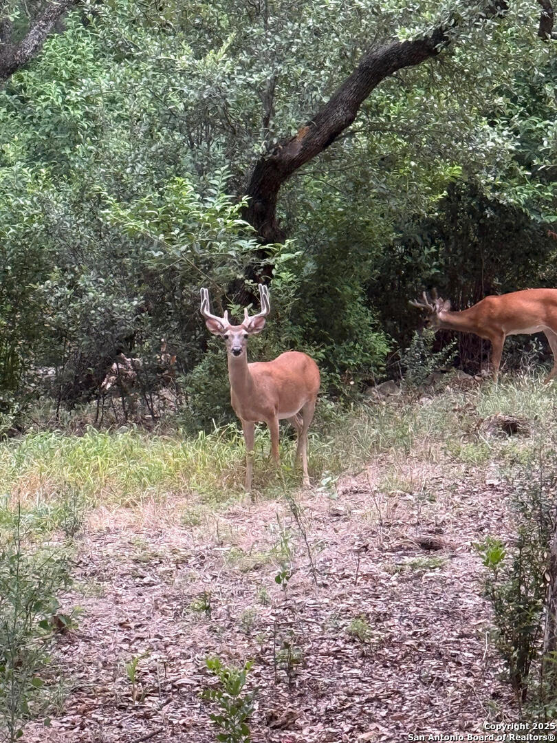 860 Rayner Ranch Blvd