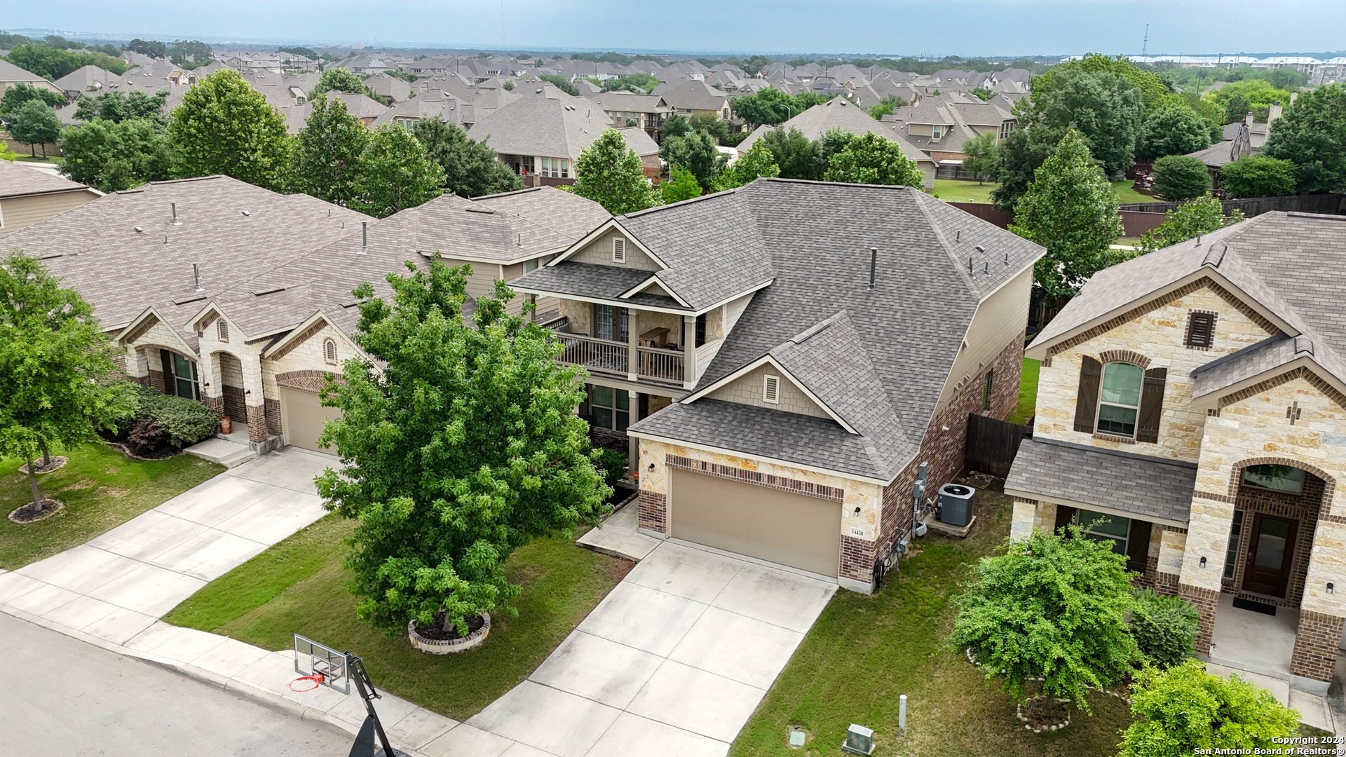 14438 PALOMINO Pl