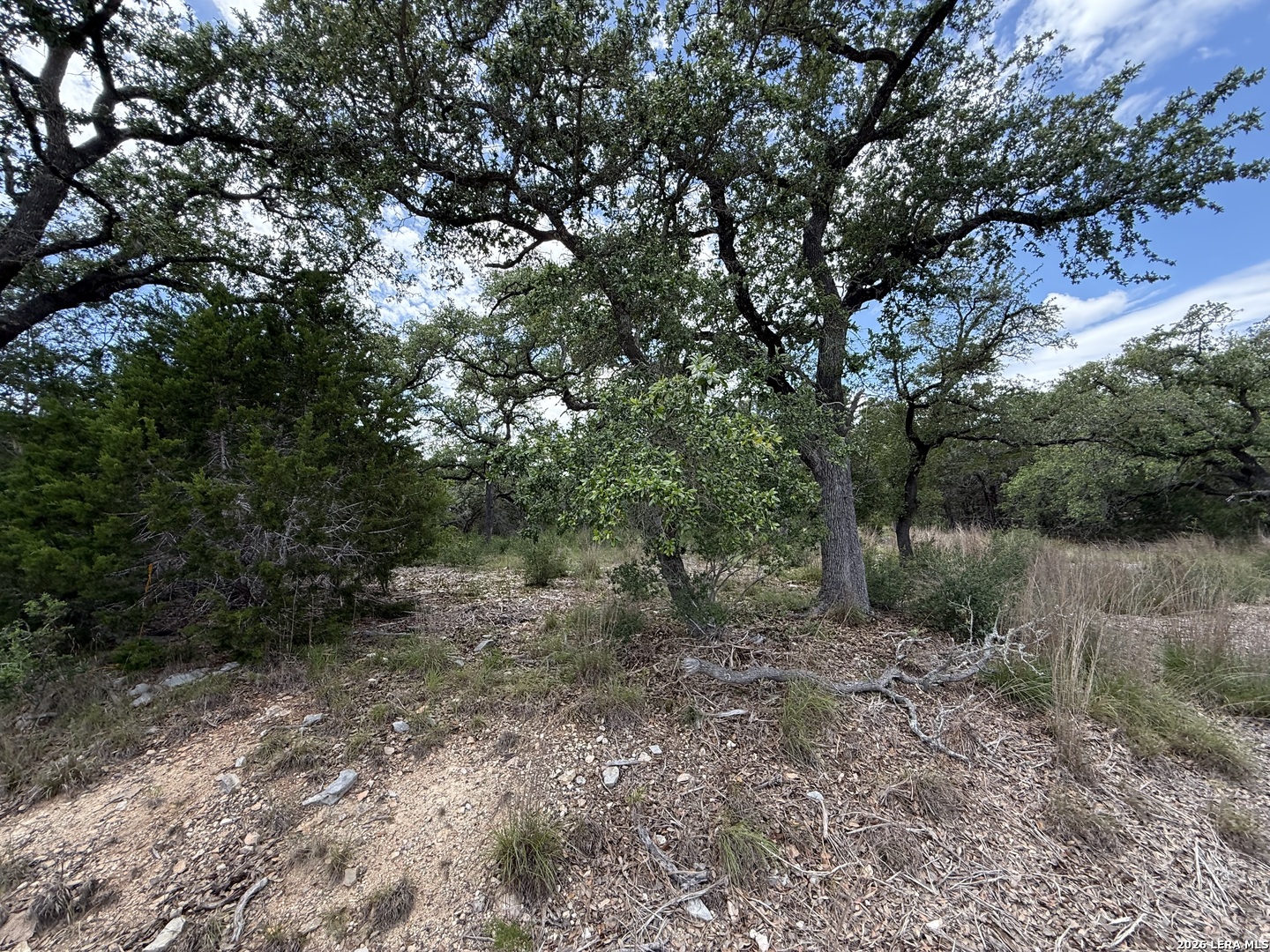 1154 MADRONE RD