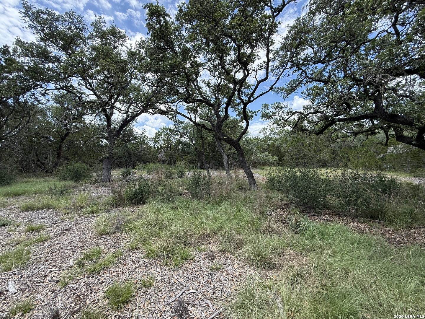 1154 MADRONE RD
