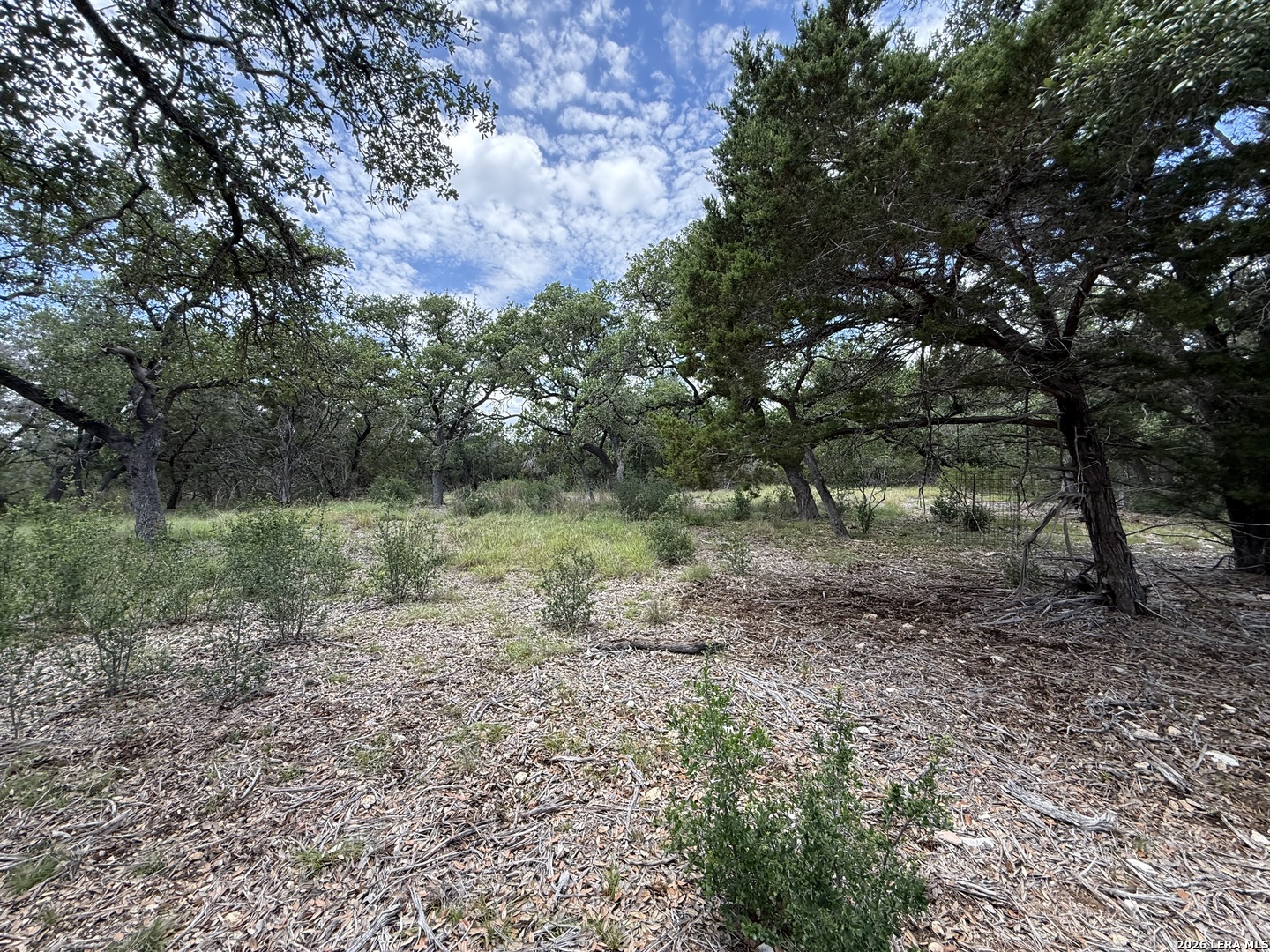 1154 MADRONE RD