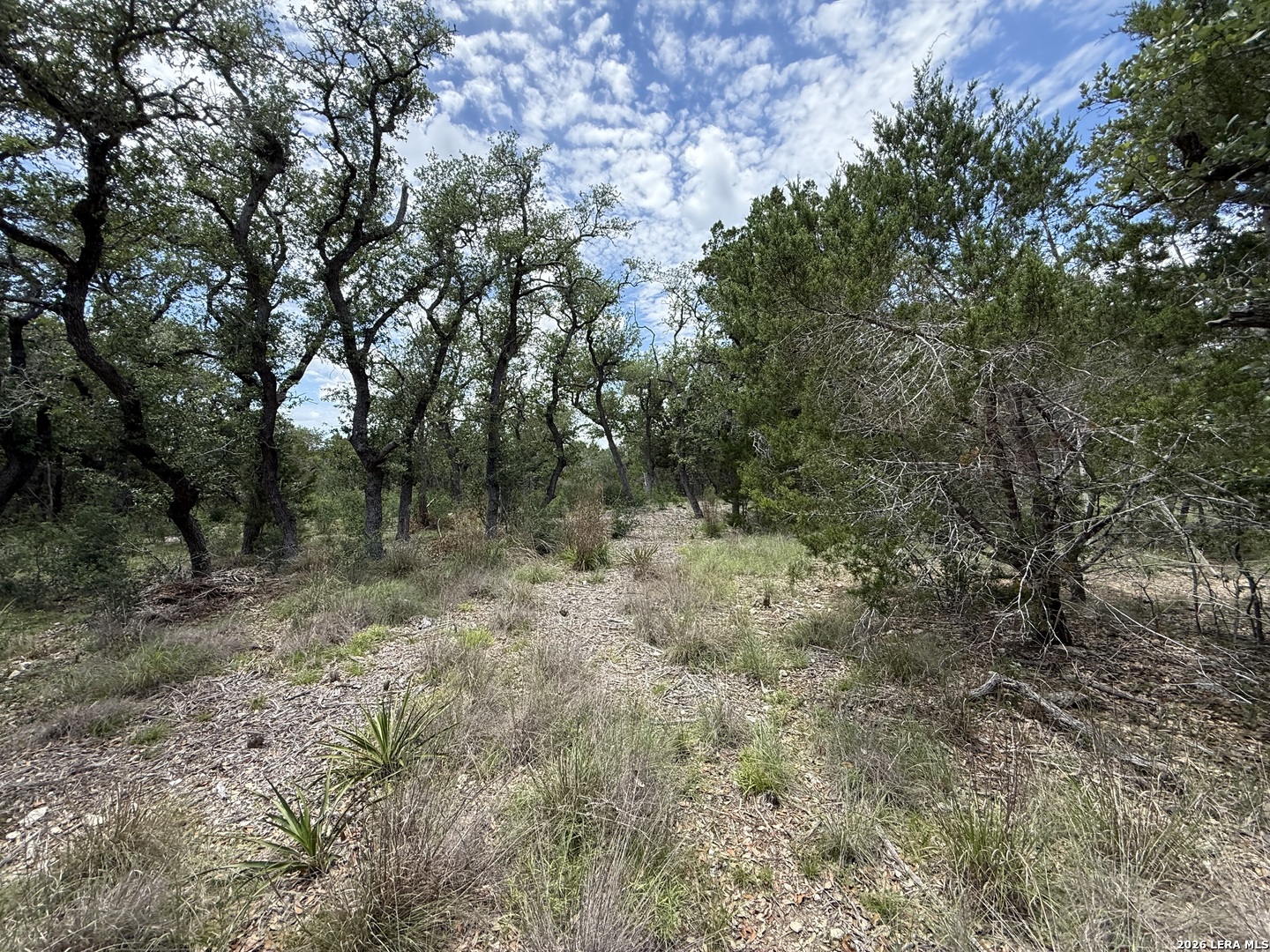 1158 MADRONE RD