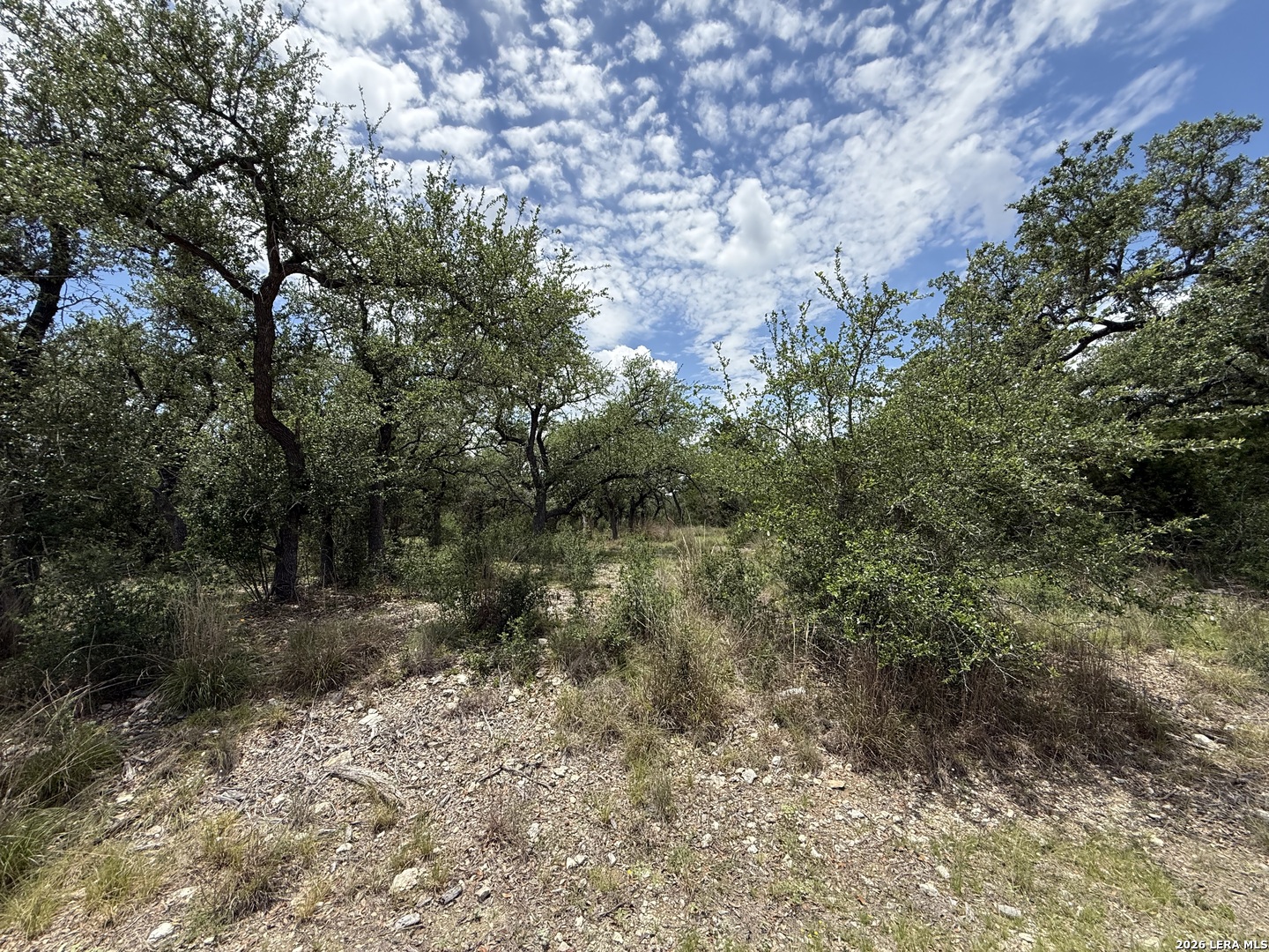 1158 MADRONE RD