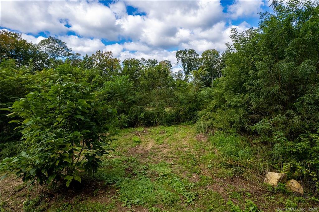 50 West Cotton Hill Road