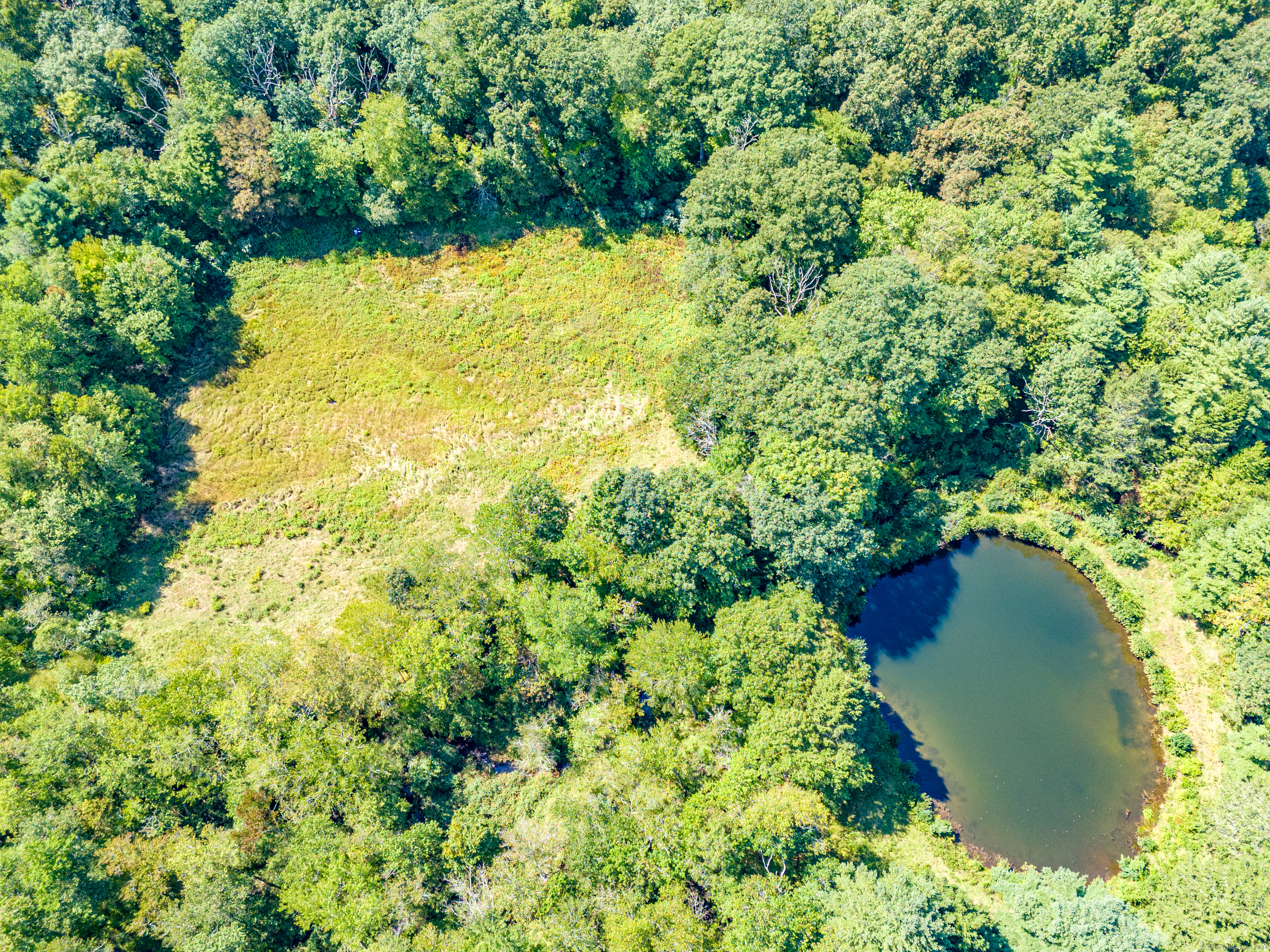 28 School House Road