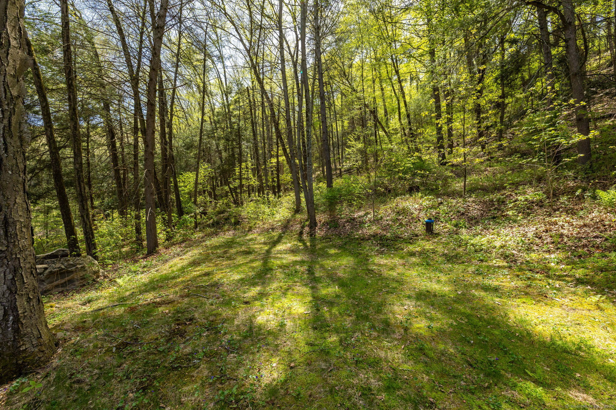 17 Cedar Hill Road