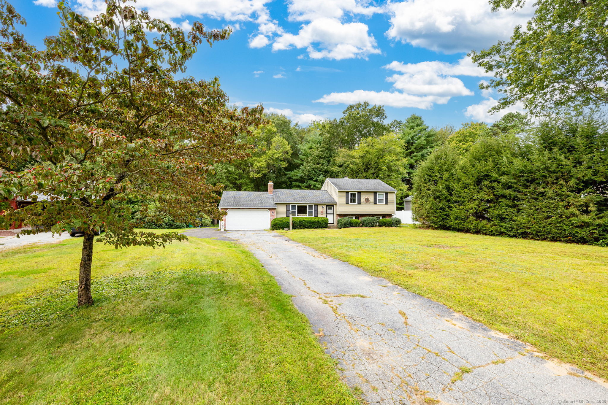 224 Cabin Road