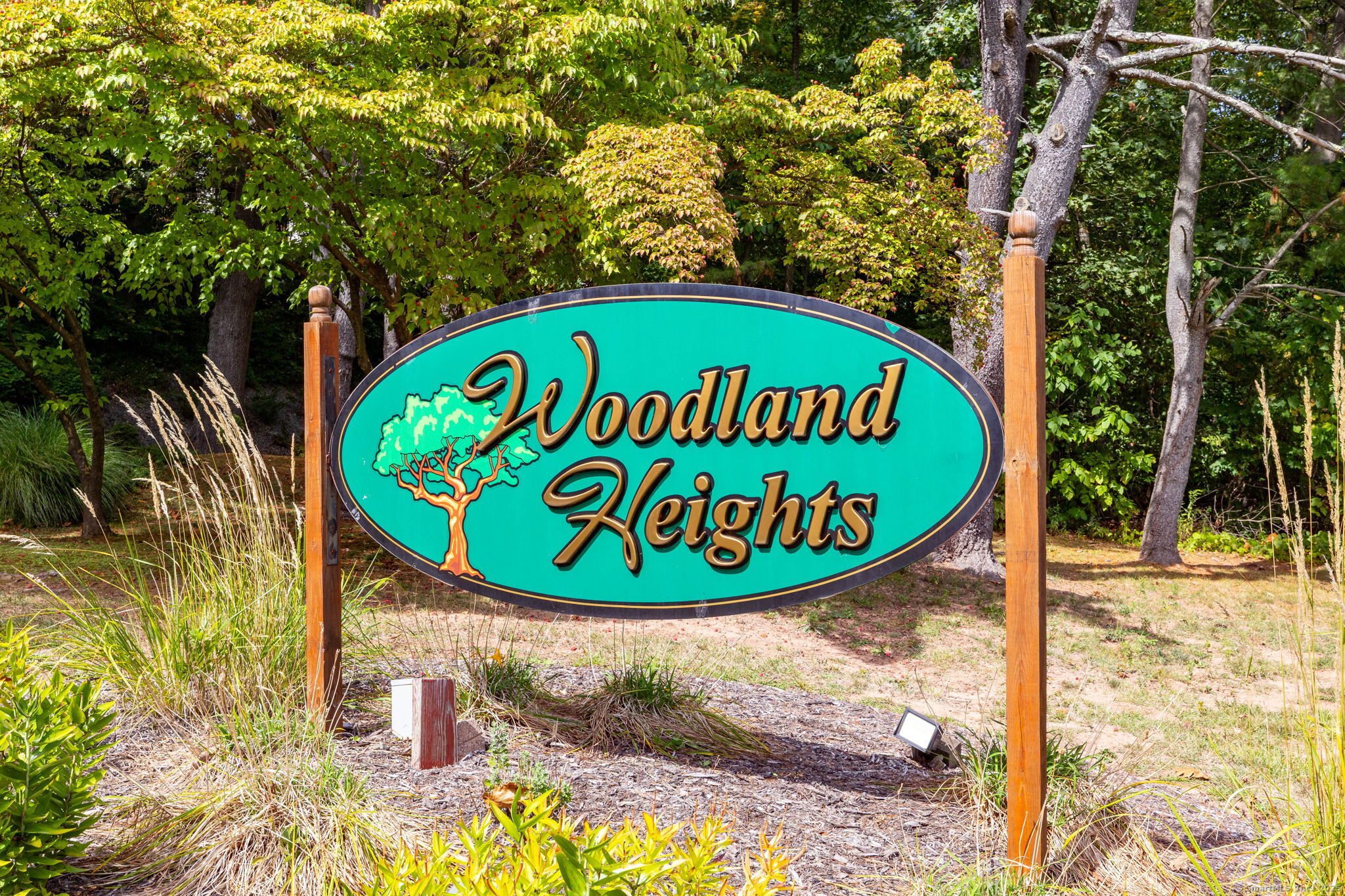 176 Woodland Drive 176