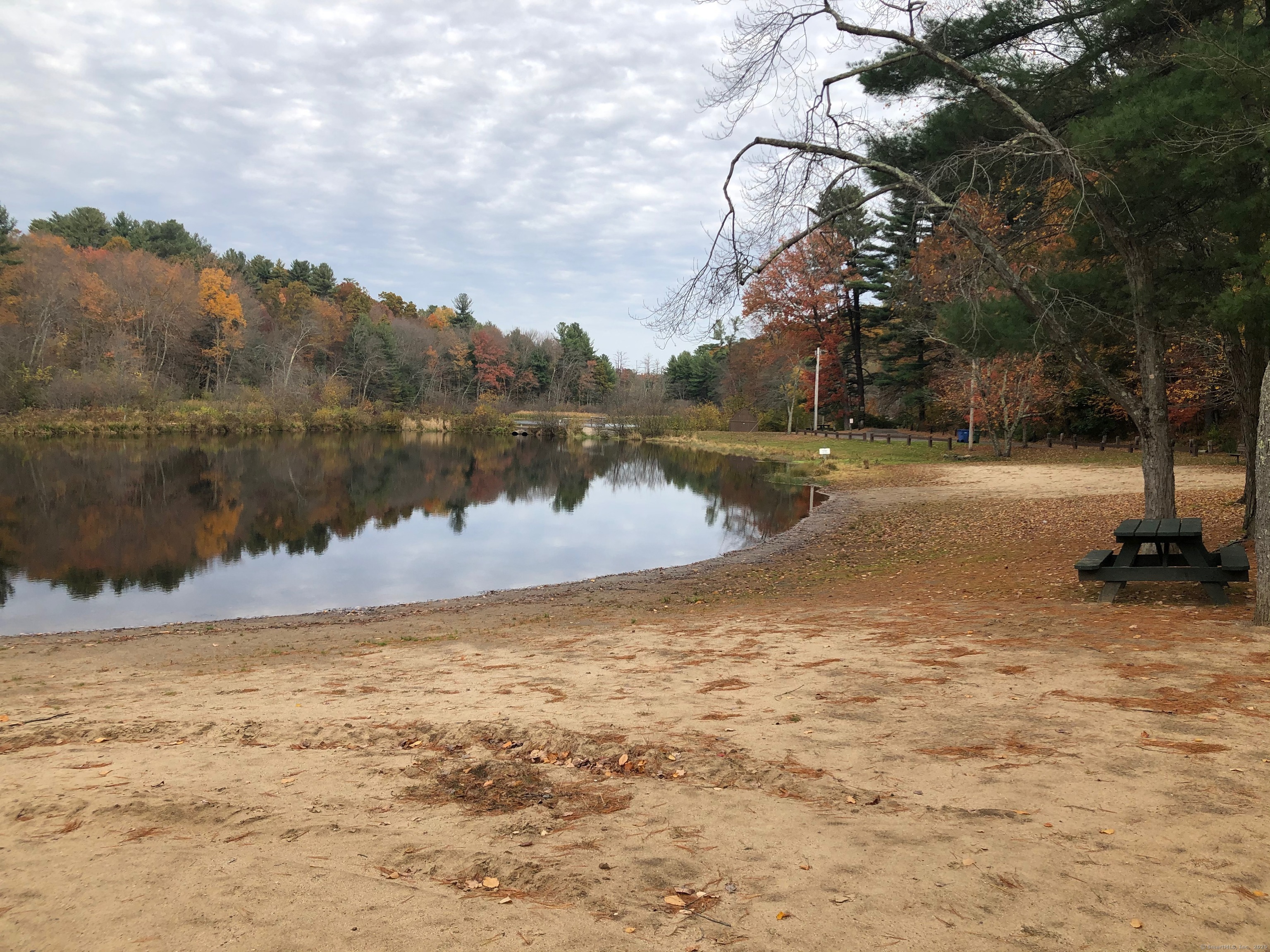 42 Fisher Hill Road 3