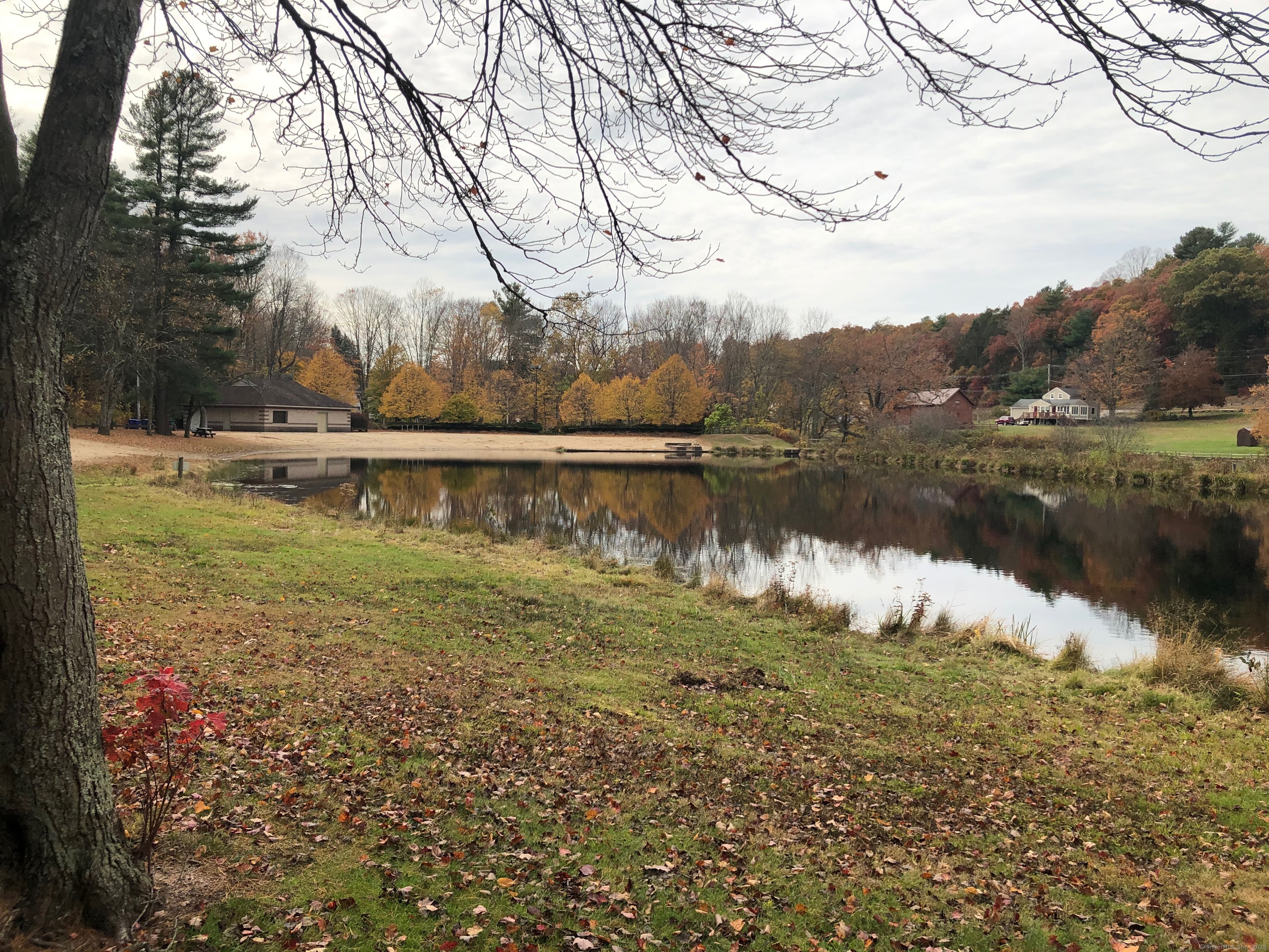 42 Fisher Hill Road 3