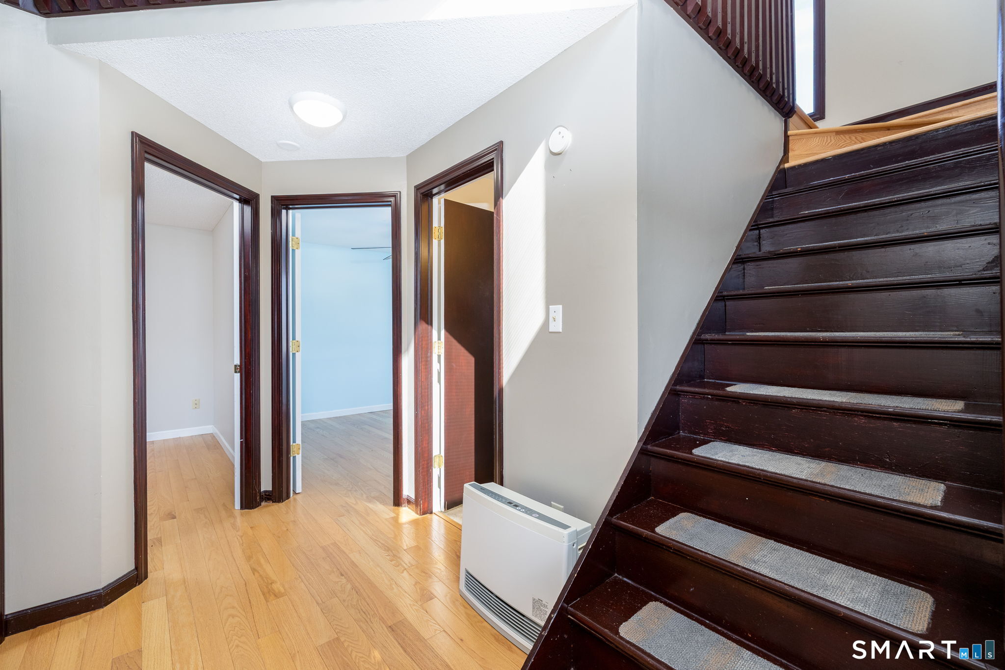 12 Rondaly Road