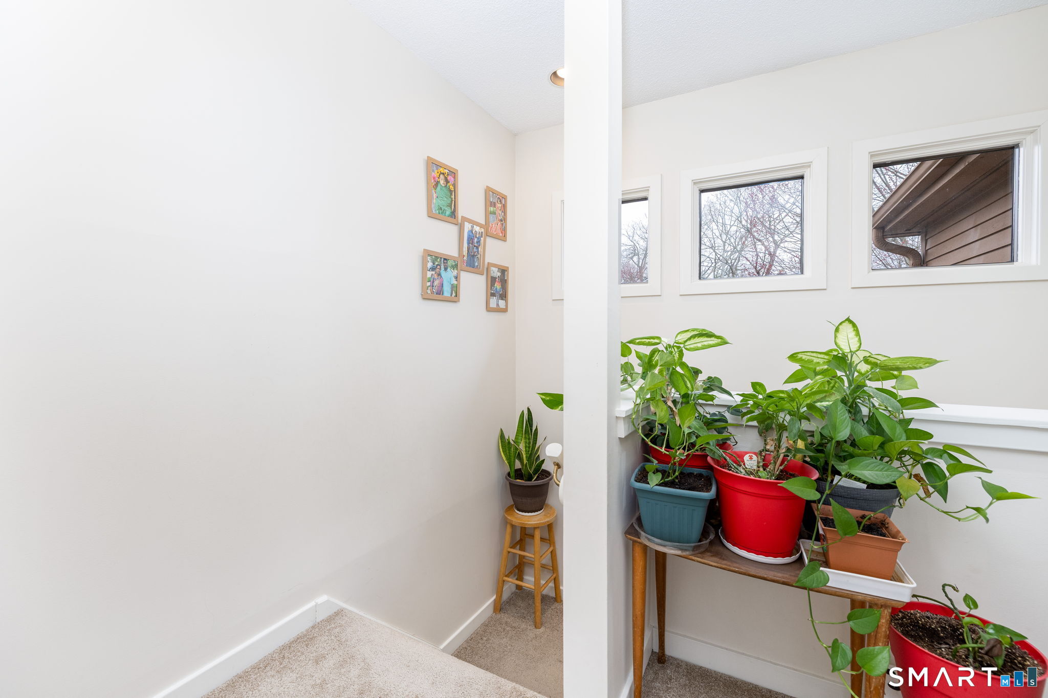 46 Macintosh Lane 46