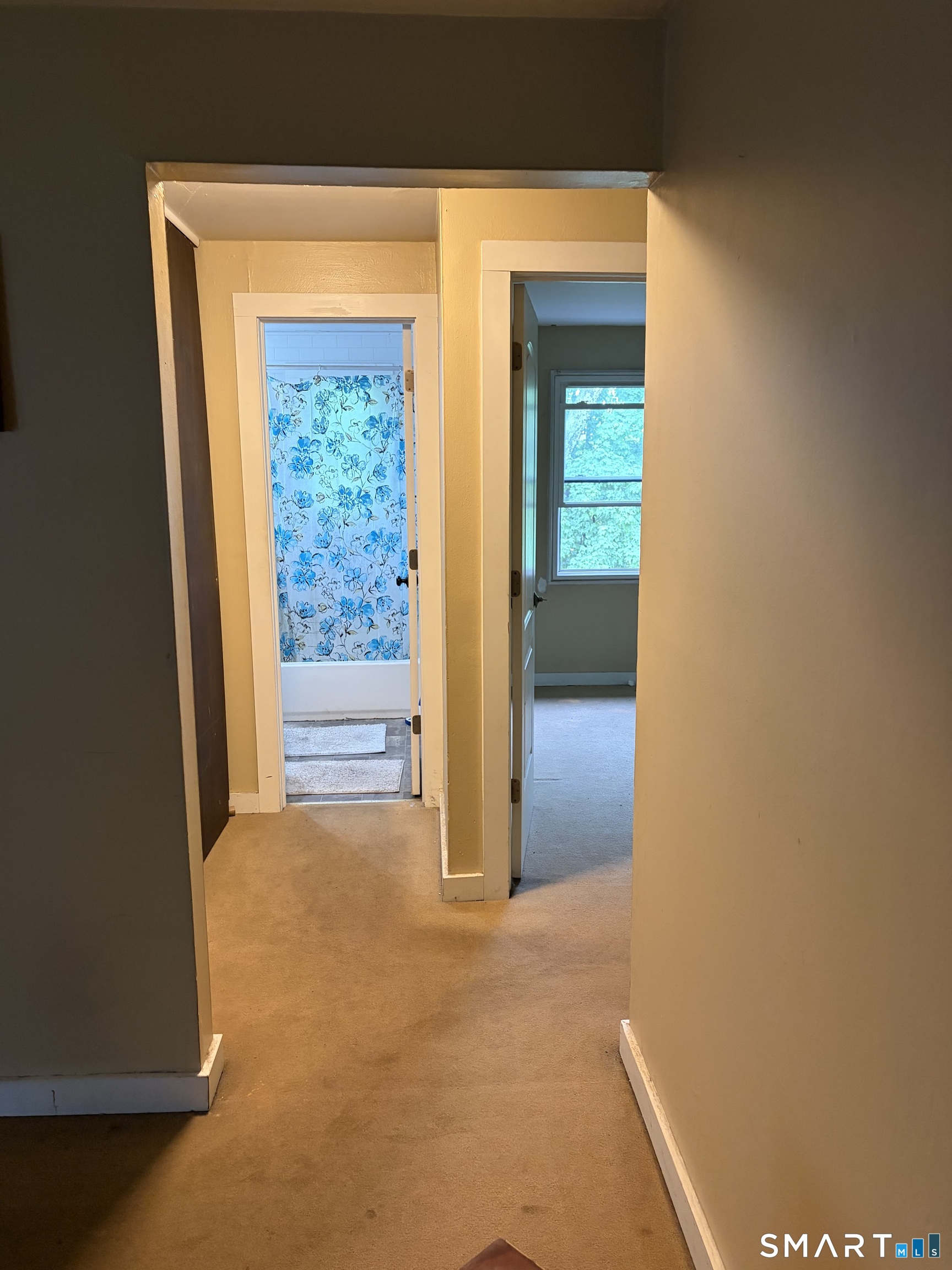 154 Park Street B2