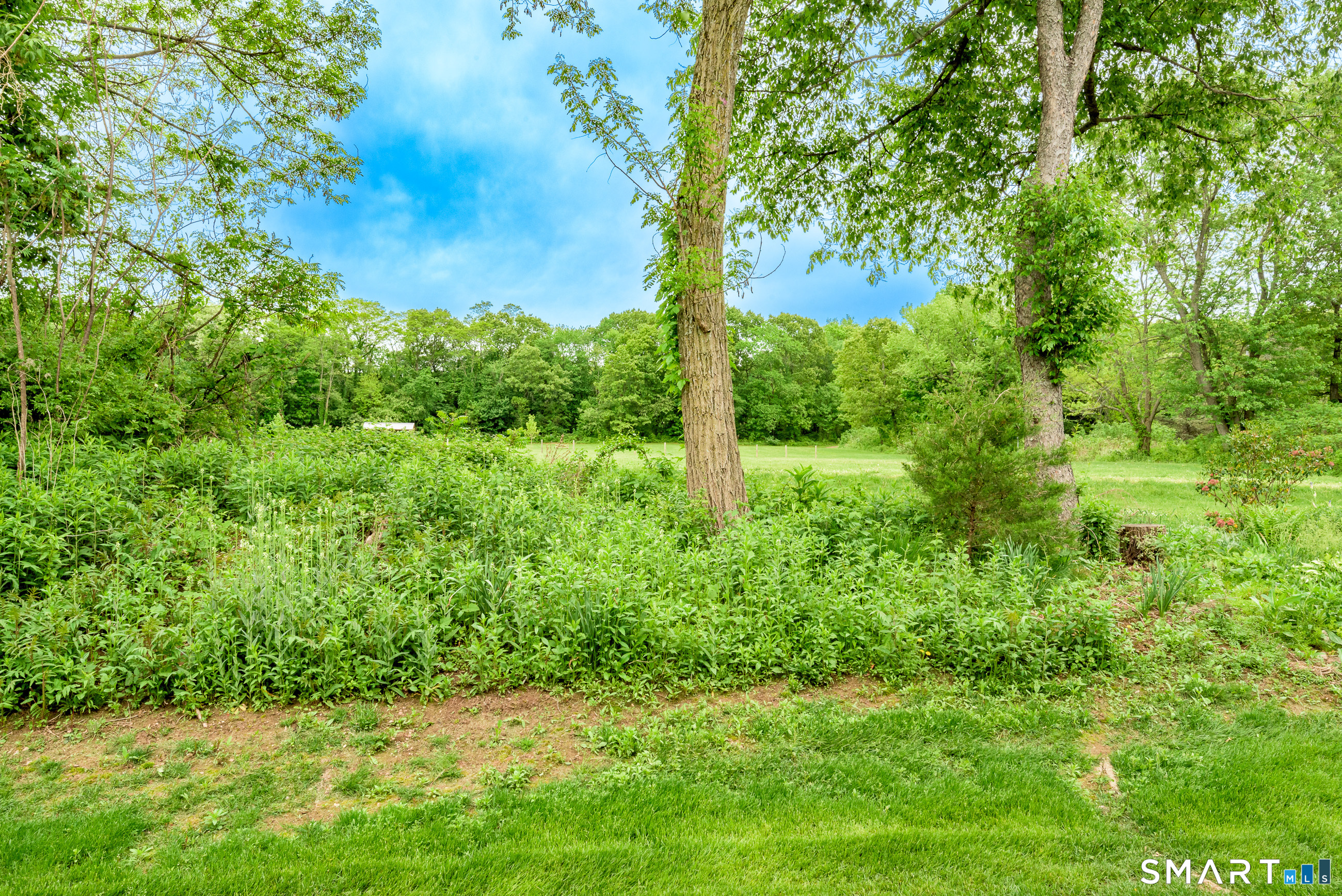 205 Wyndemere Court 205