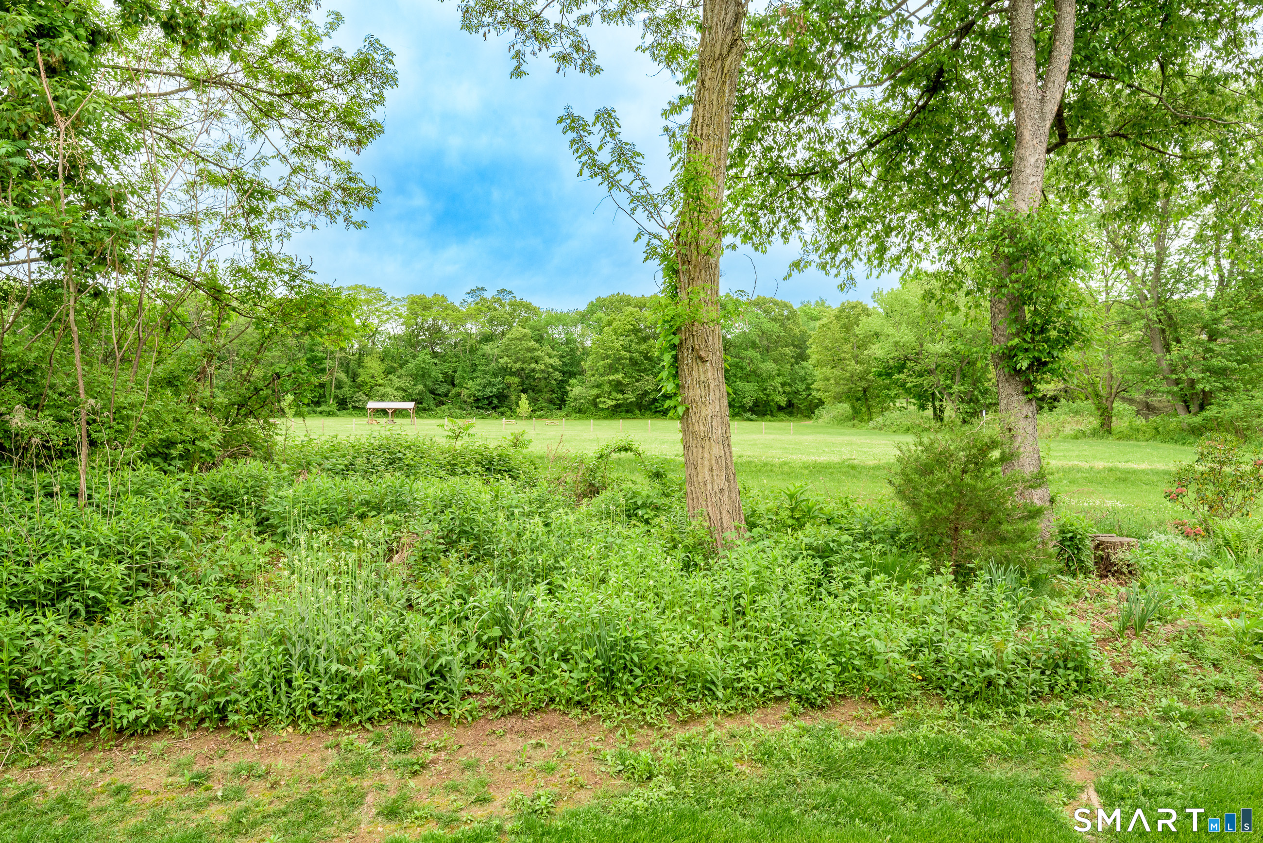 205 Wyndemere Court 205