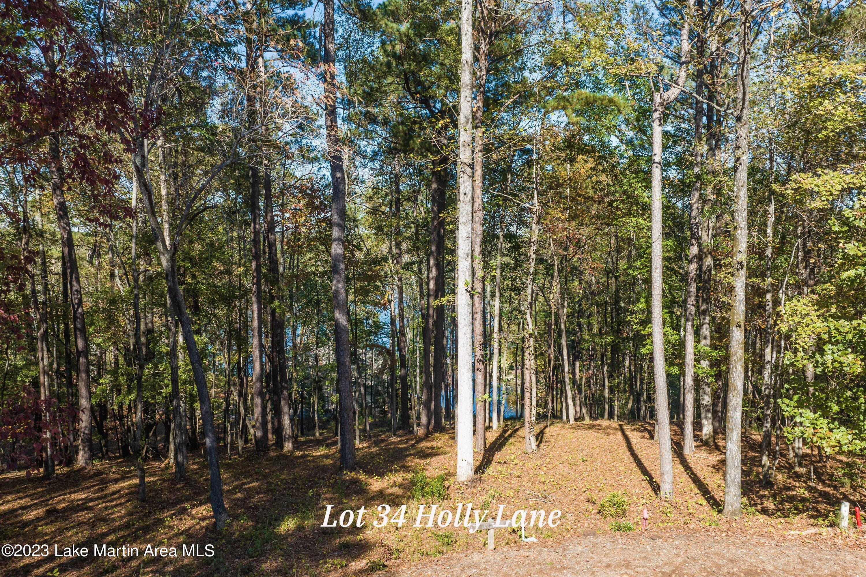 37 Holly Ln