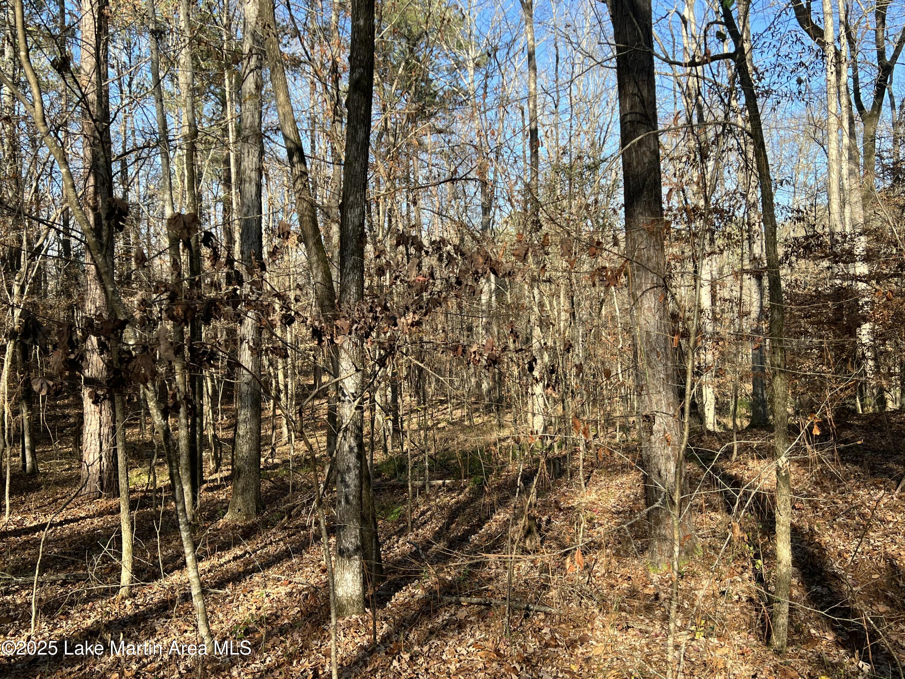 Lots 33,34,35,36 Beach Island Trace