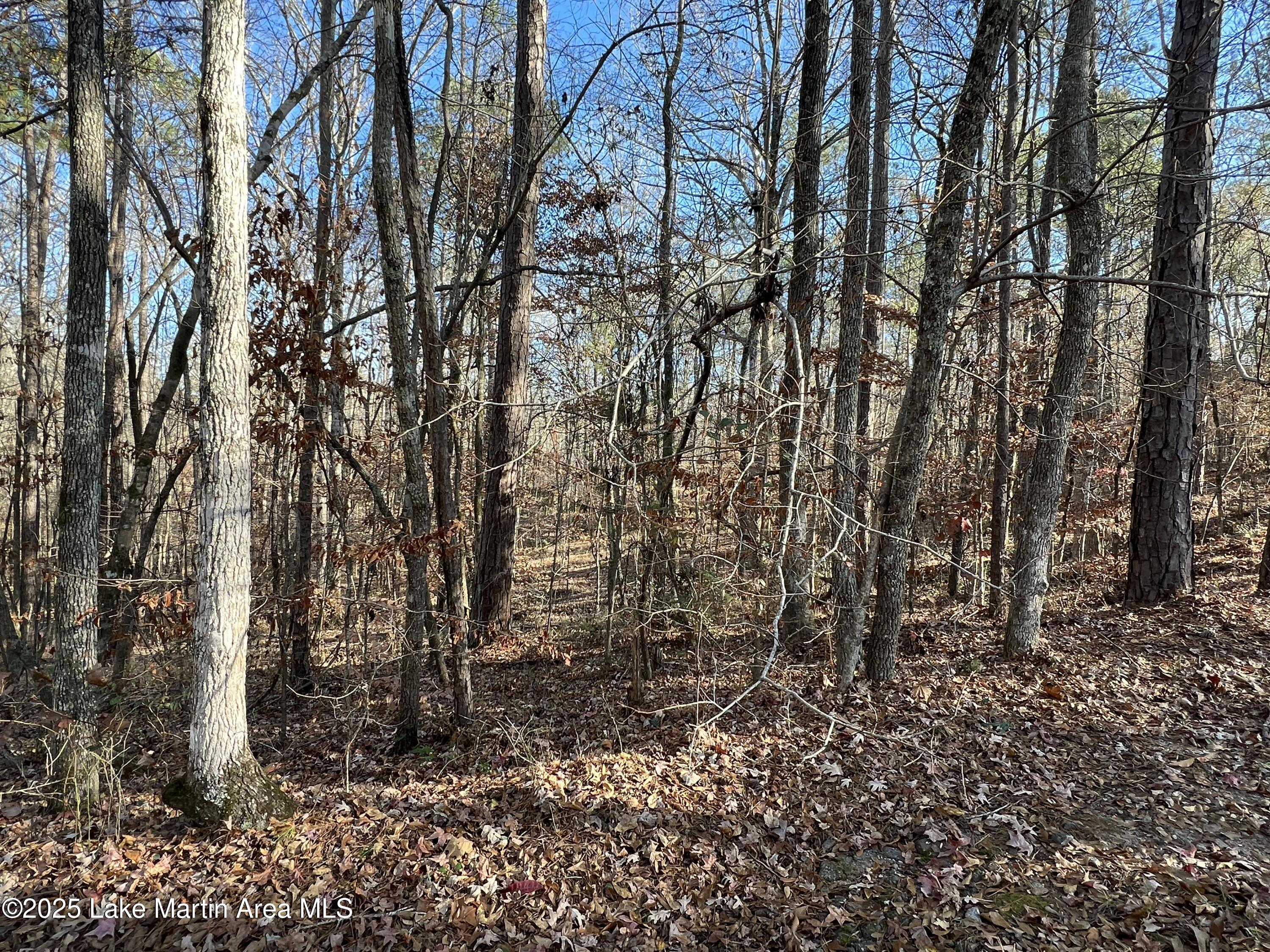 Lots 33,34,35,36 Beach Island Trace