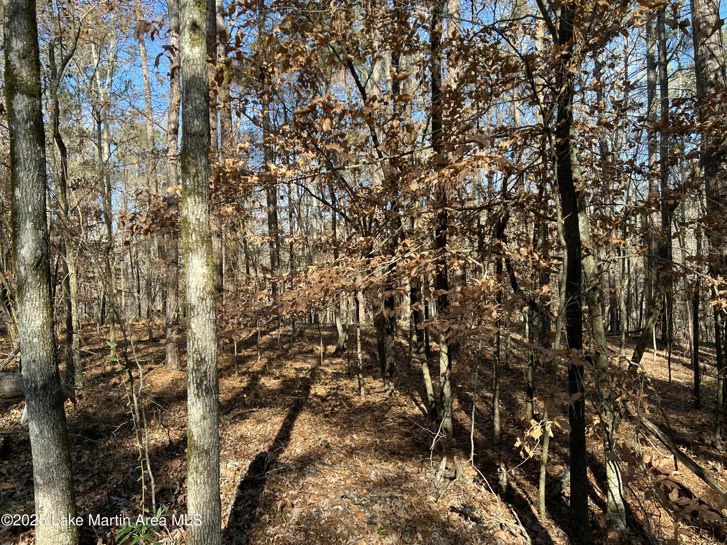 Lots 33,34,35,36 Beach Island Trace