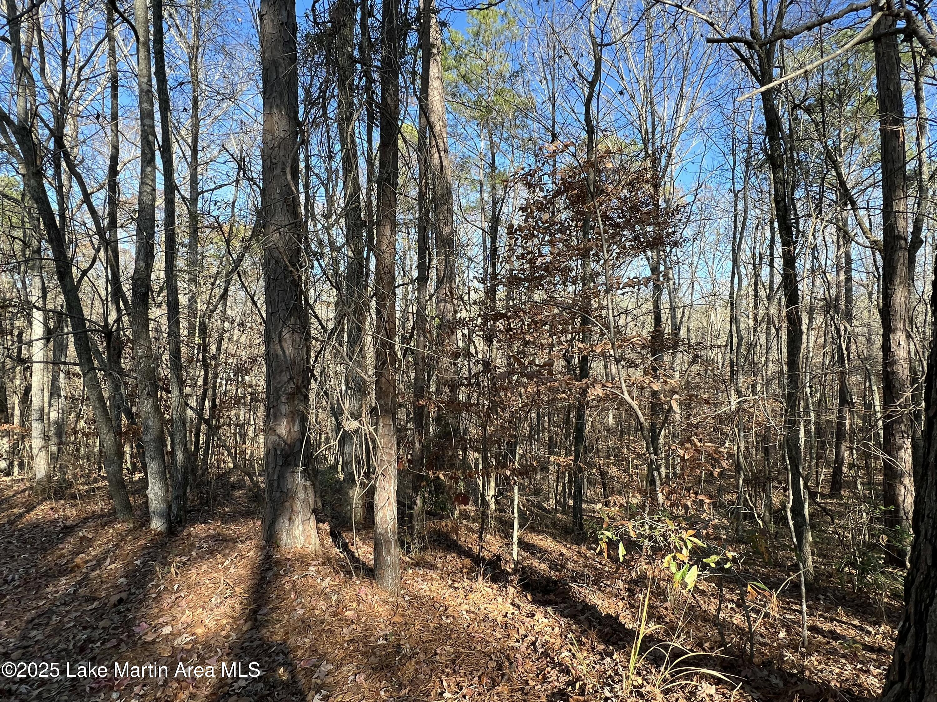 Lots 33,34,35,36 Beach Island Trace