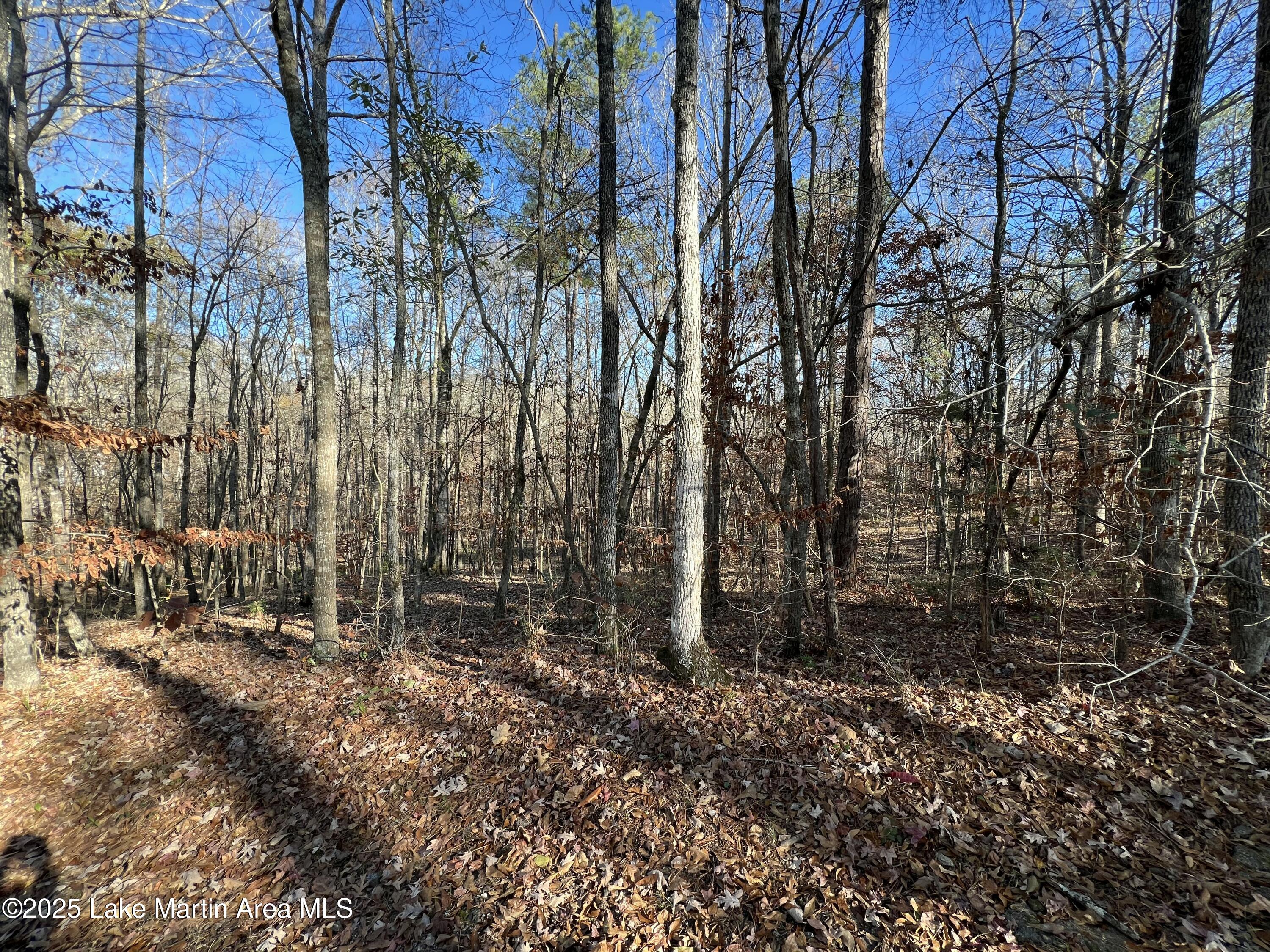 Lots 33,34,35,36 Beach Island Trace