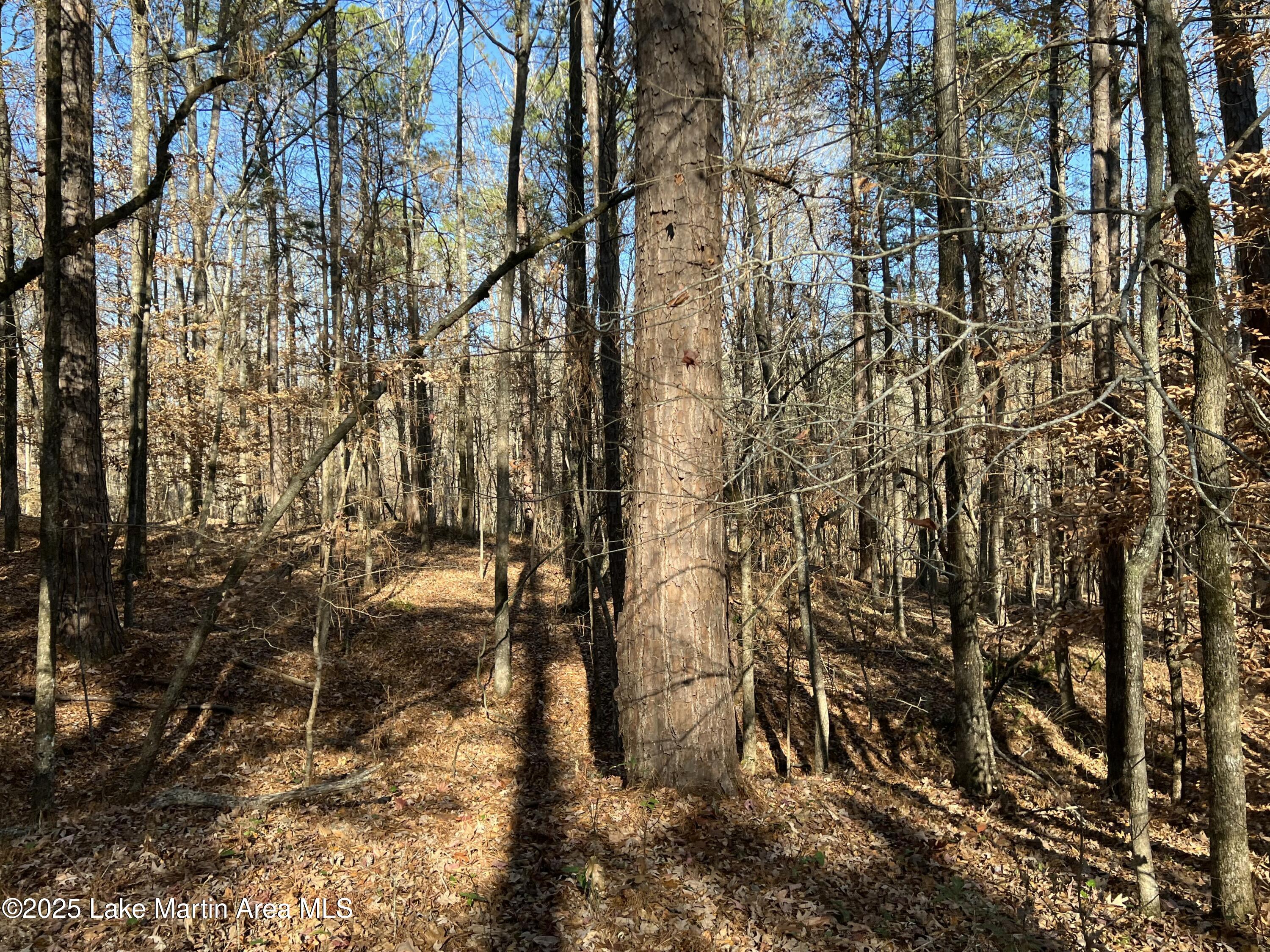 Lots 33,34,35,36 Beach Island Trace