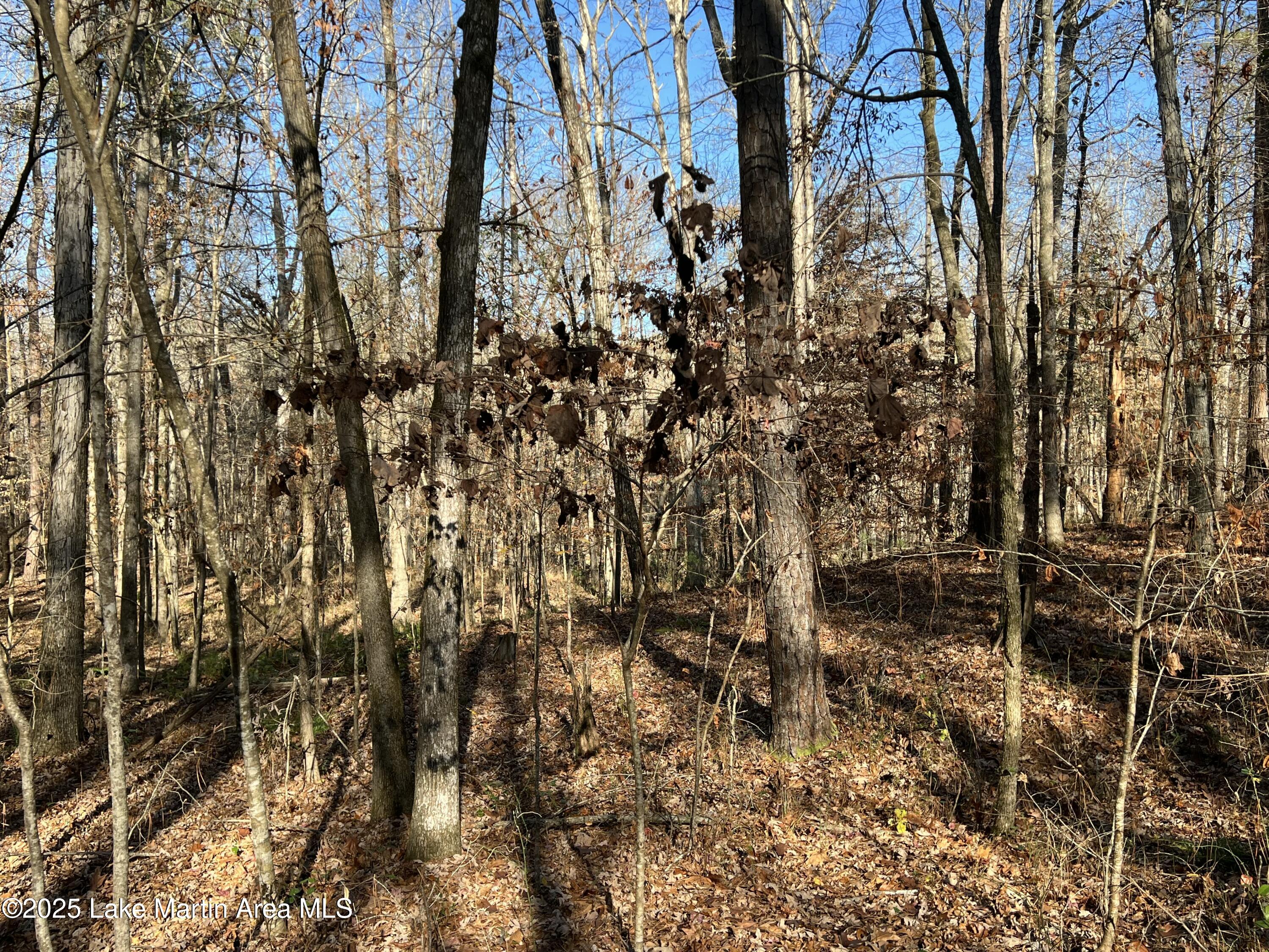 Lots 33,34,35,36 Beach Island Trace