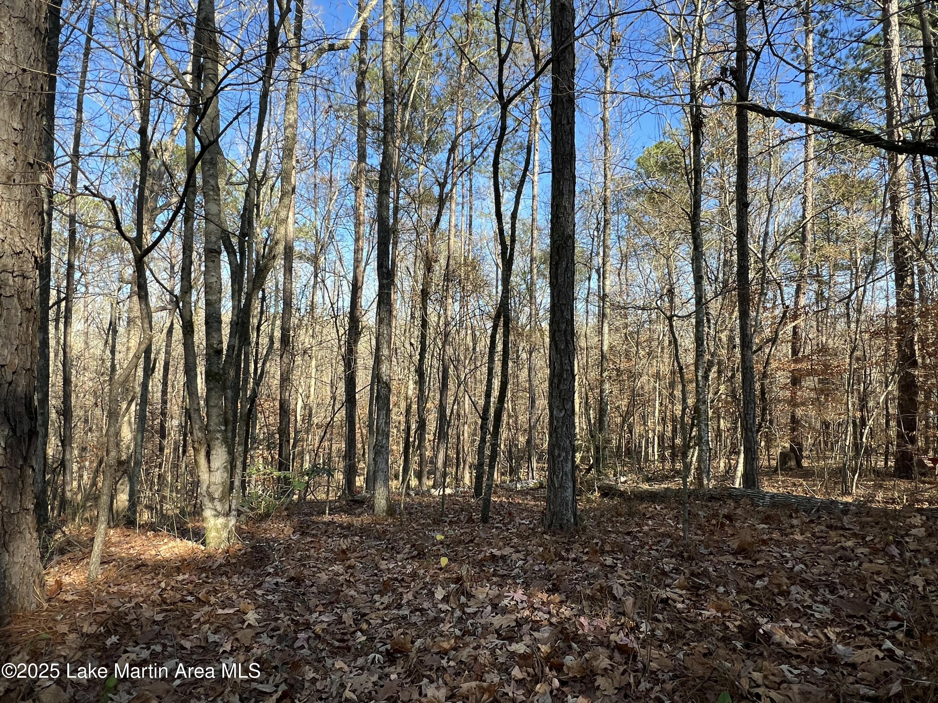 Lots 33,34,35,36 Beach Island Trace