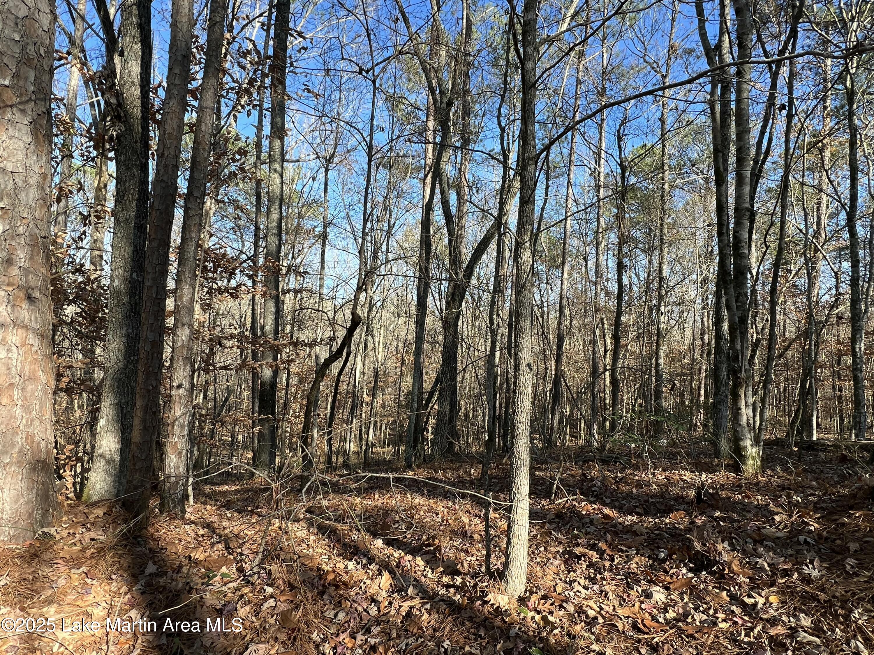 Lots 33,34,35,36 Beach Island Trace