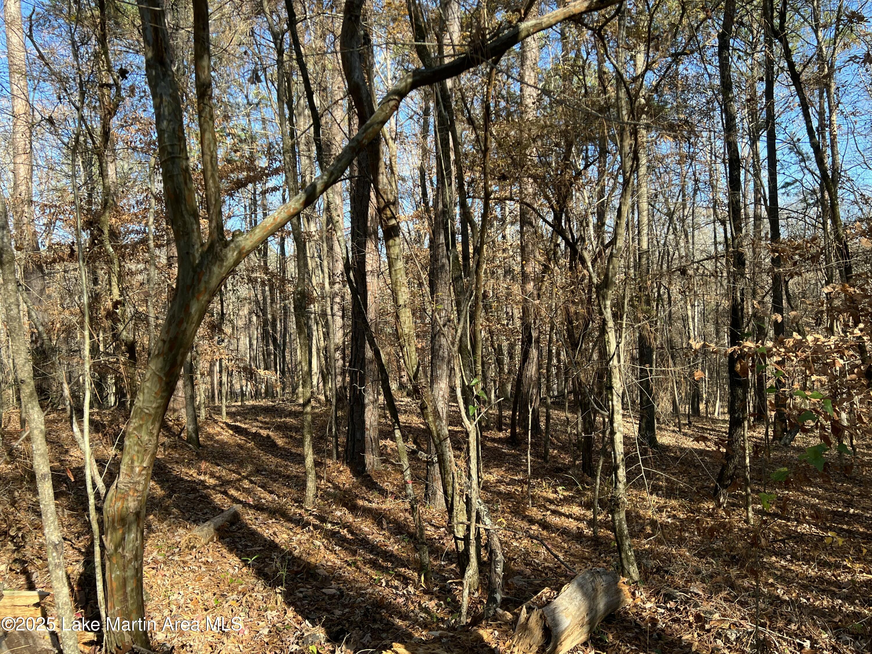 Lots 33,34,35,36 Beach Island Trace