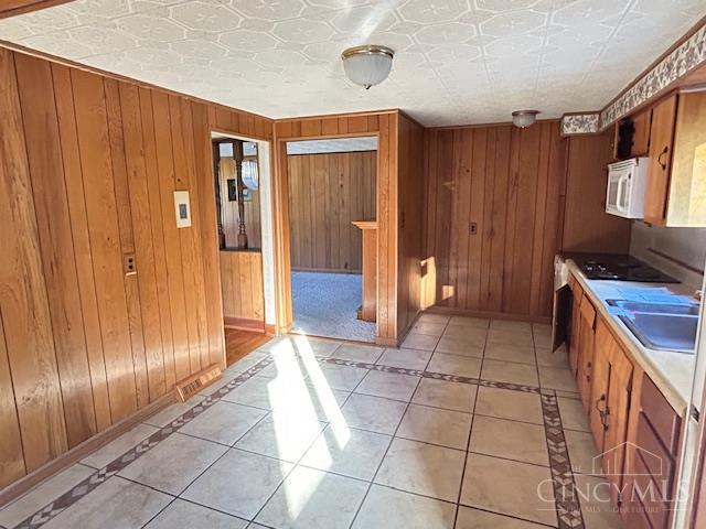 1233 Deblin Drive