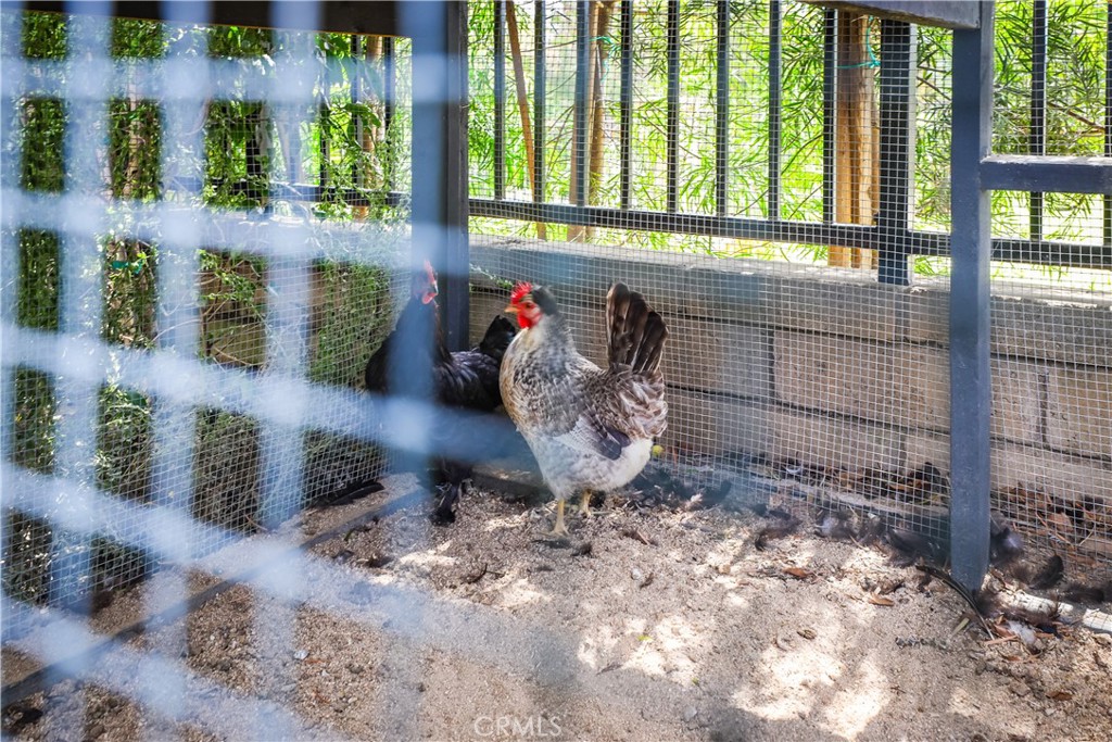 24072 Oro Grande Lane