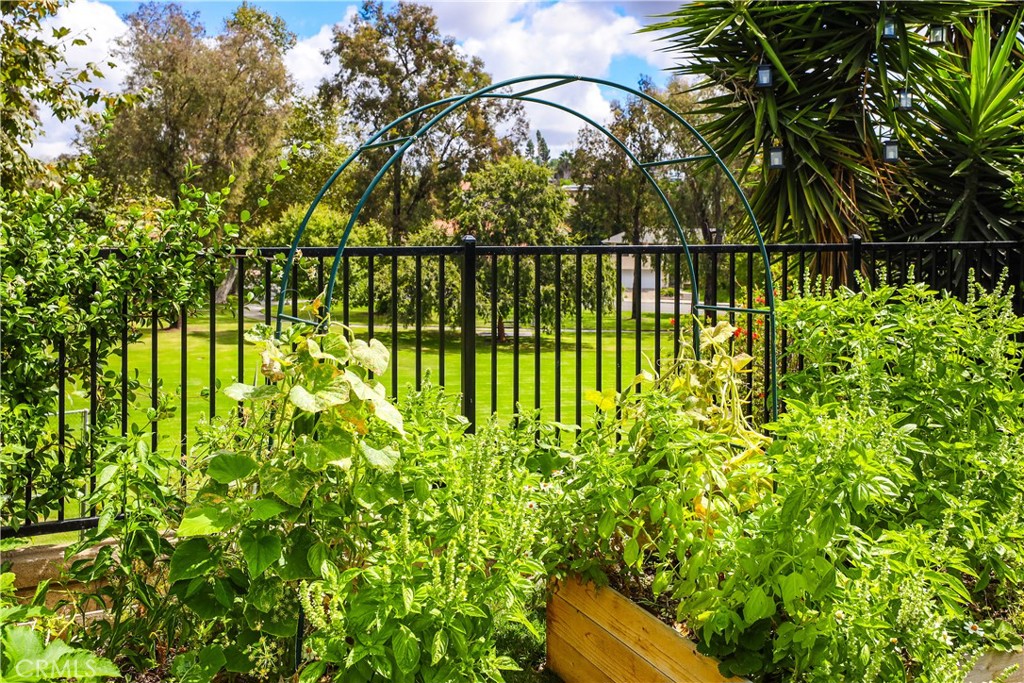 24072 Oro Grande Lane