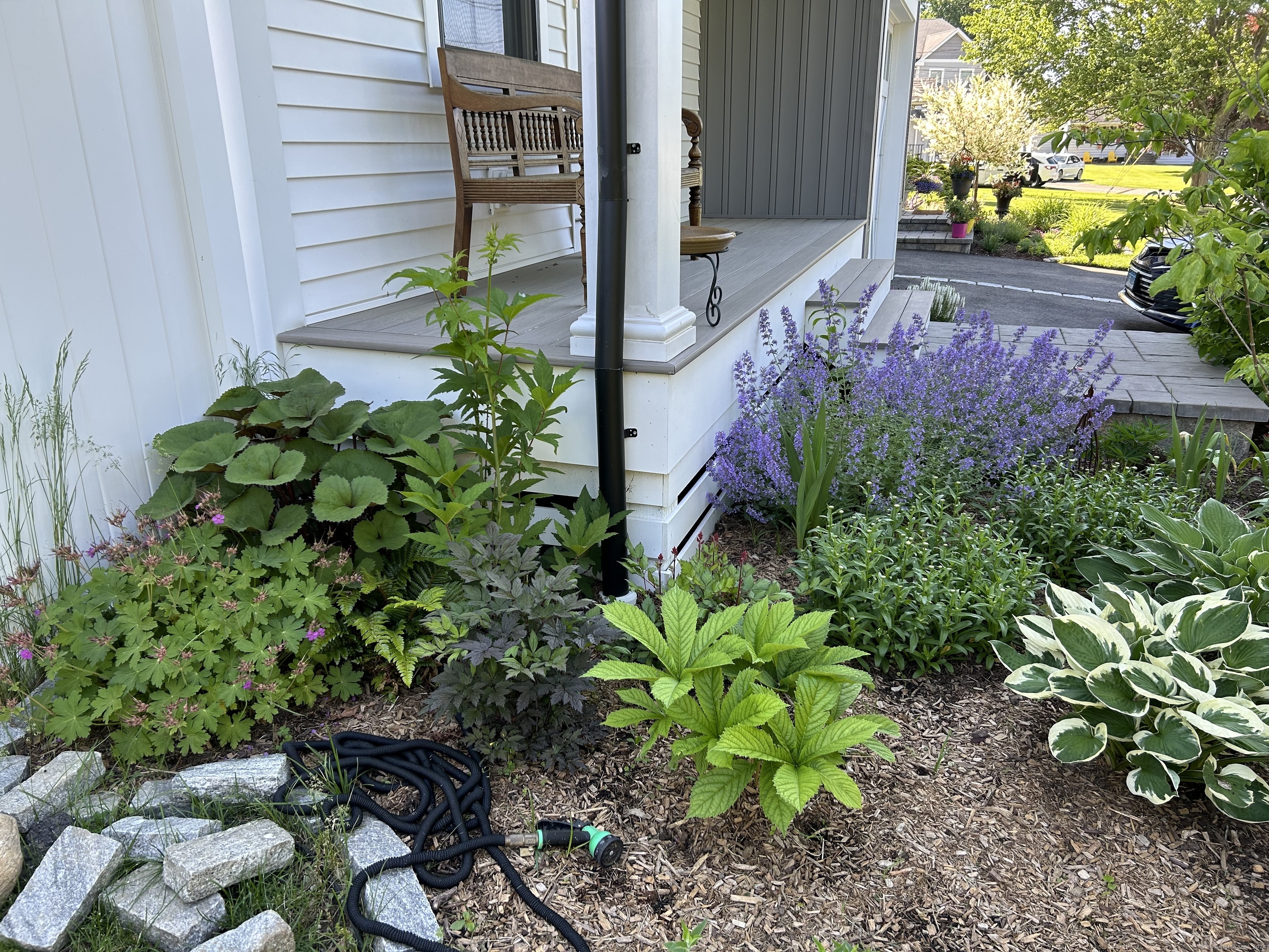 206 Country Road 206