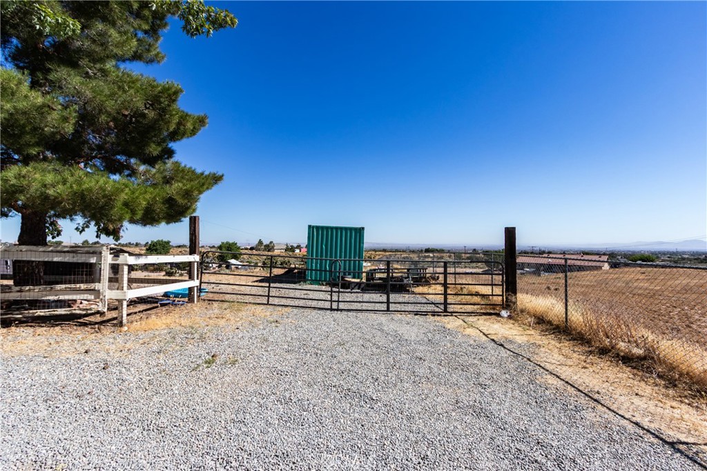 Gravel driveway entrance with a metal gate, fenced dry land, and a large pine tree.