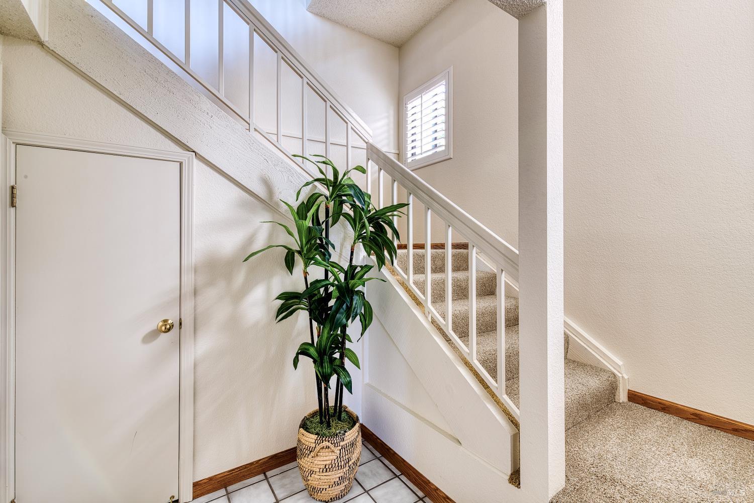 1114 Redwood Boulevard