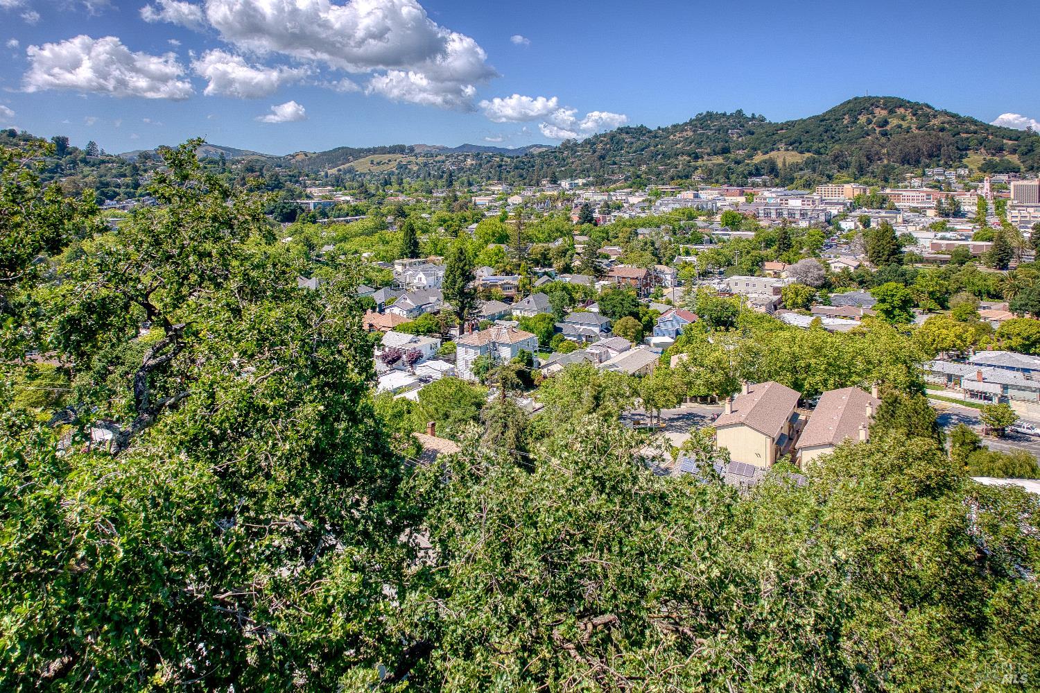 135 Martens Boulevard